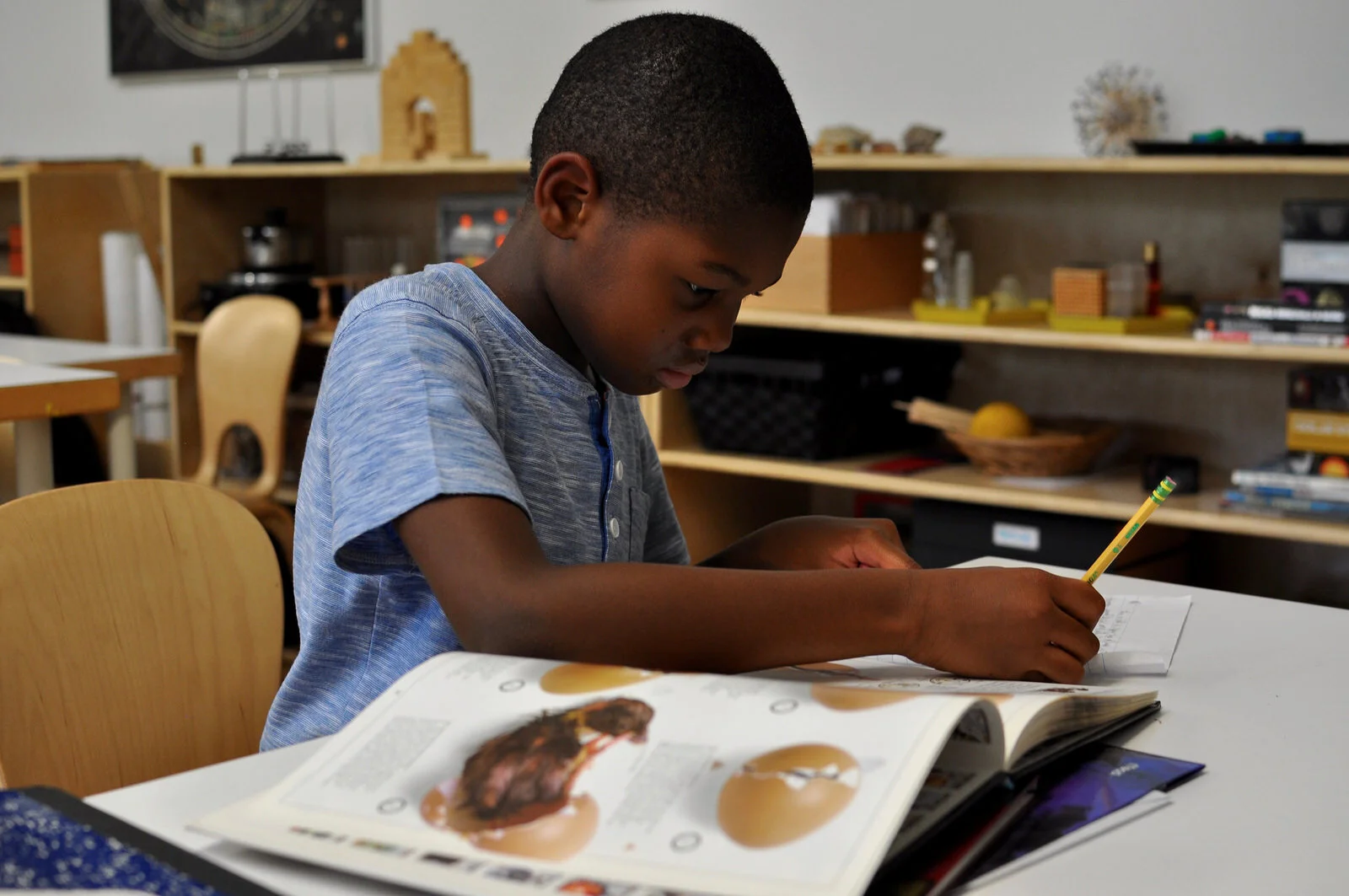 A Glimpse into Upper Elementary