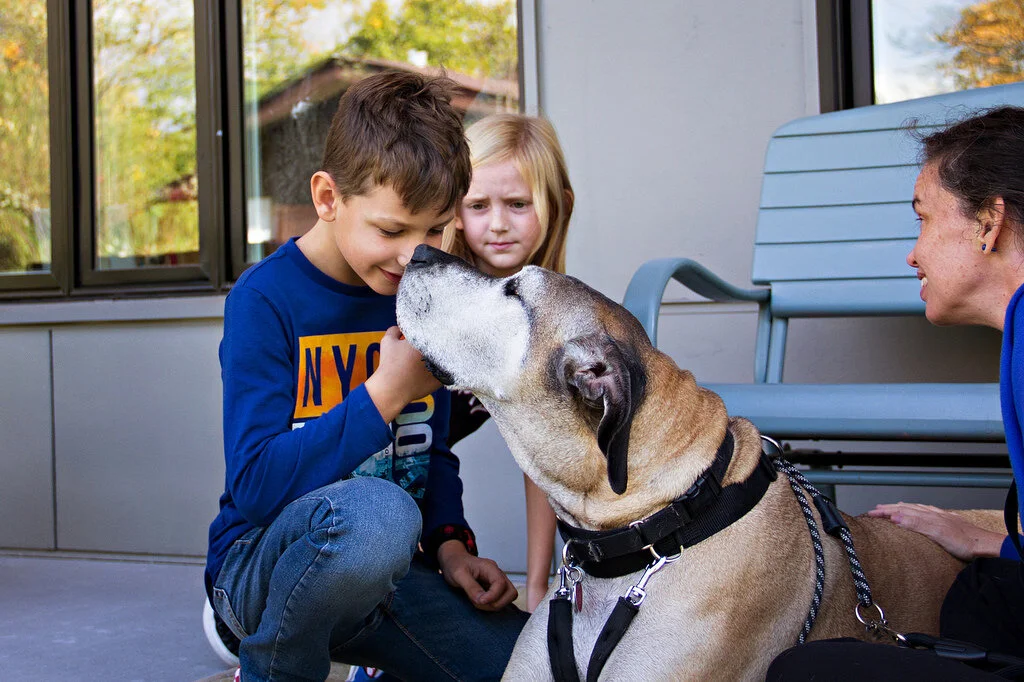 We Love Our Animals!