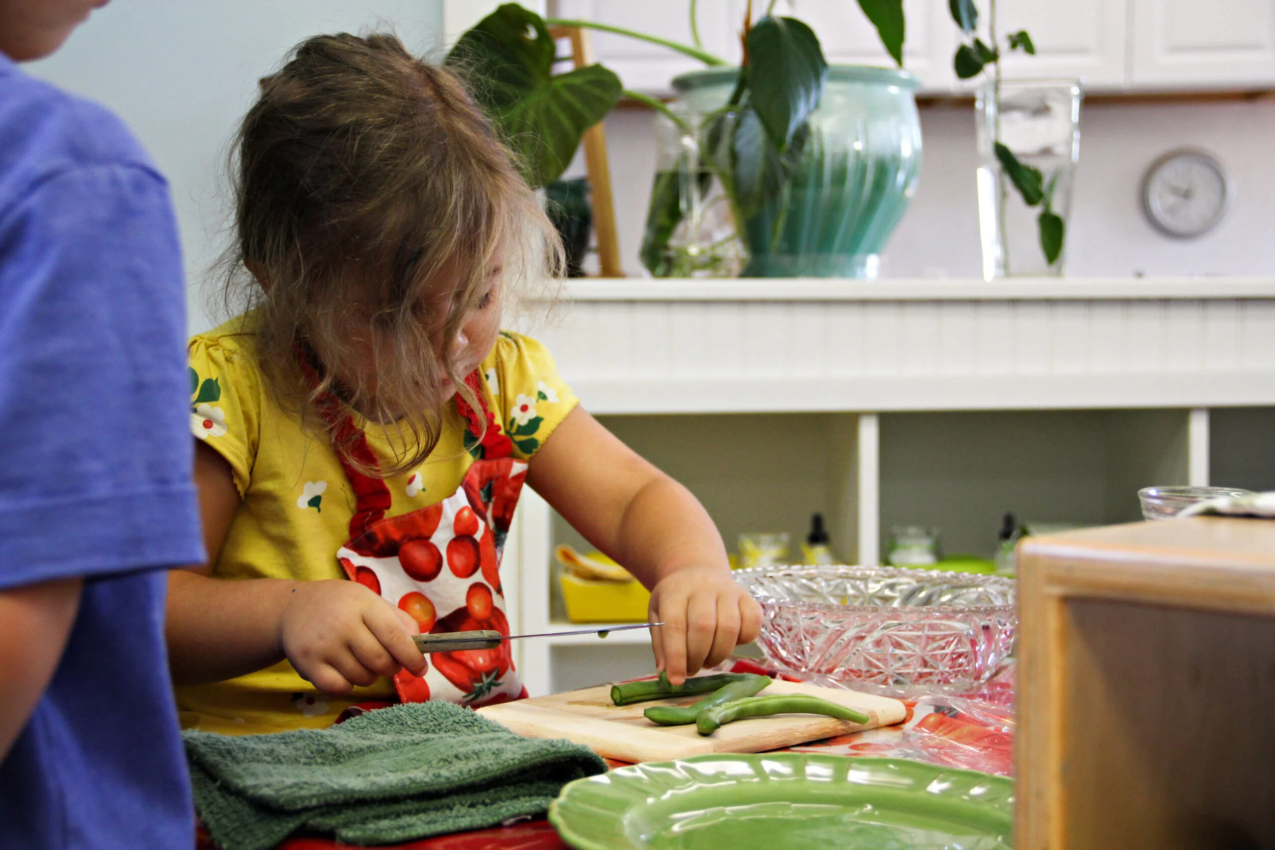 Executive Functions… (Part 1: Introduction)