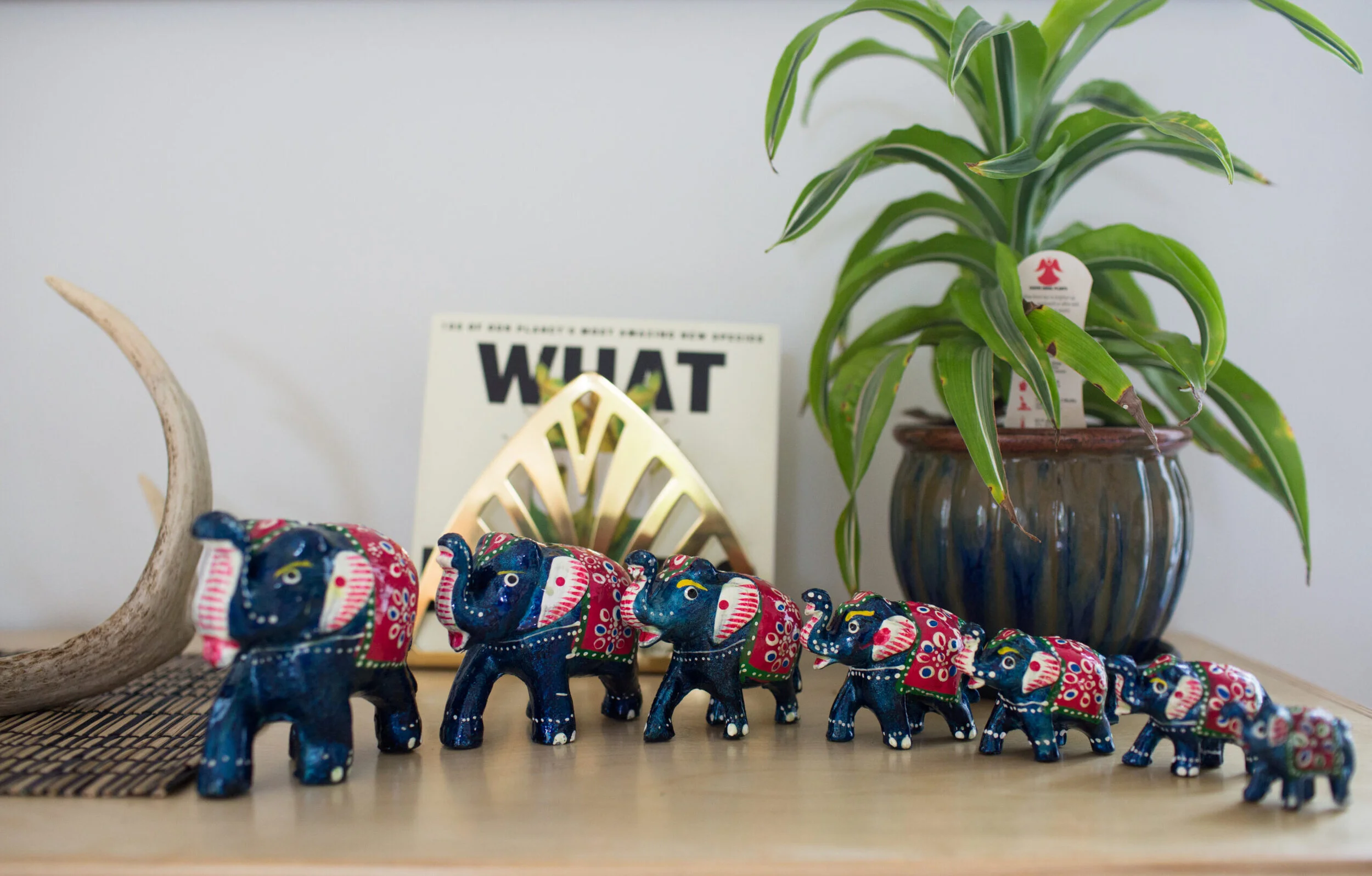 On Choice: Part 2 - Parenting and the Art of Limiting Choices...