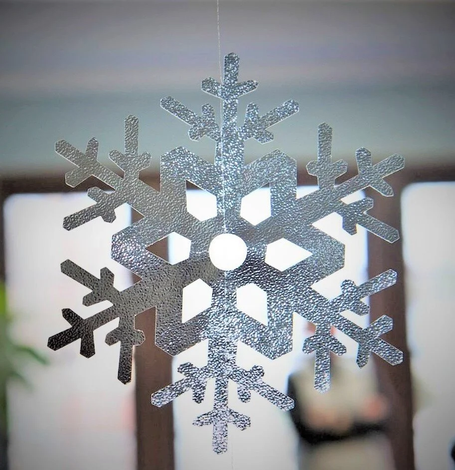 Winterfest with a Special Guest (and I don't just mean Santa!)