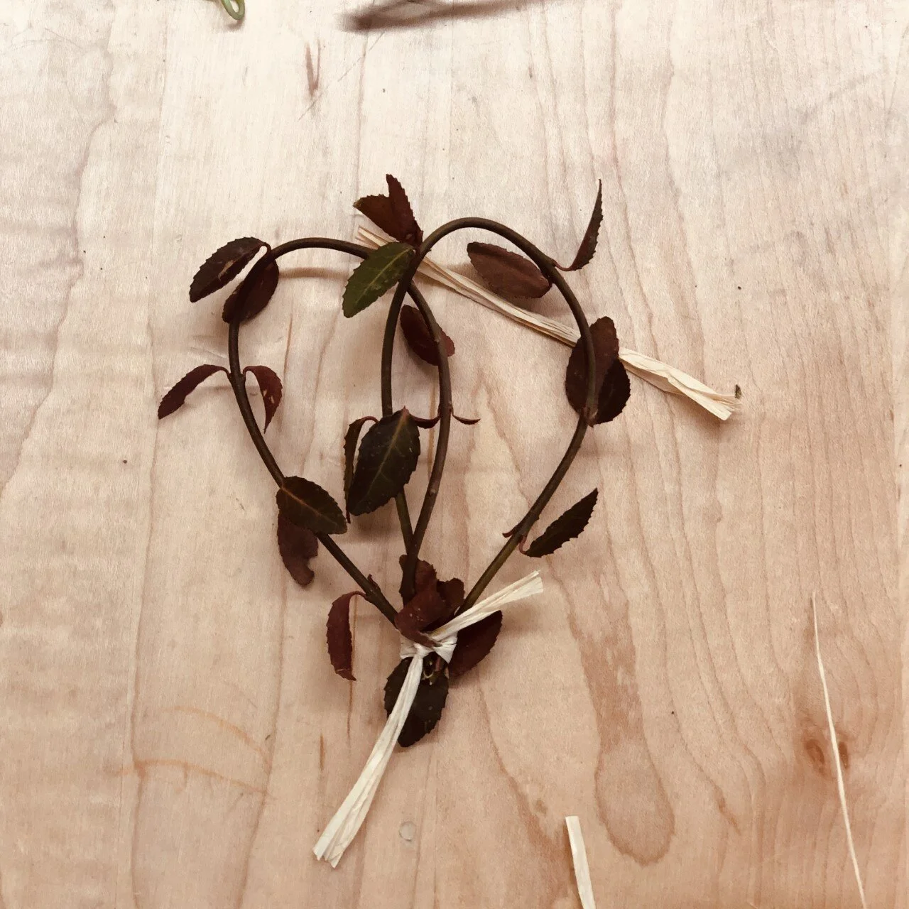 Reducing Waste at VdM