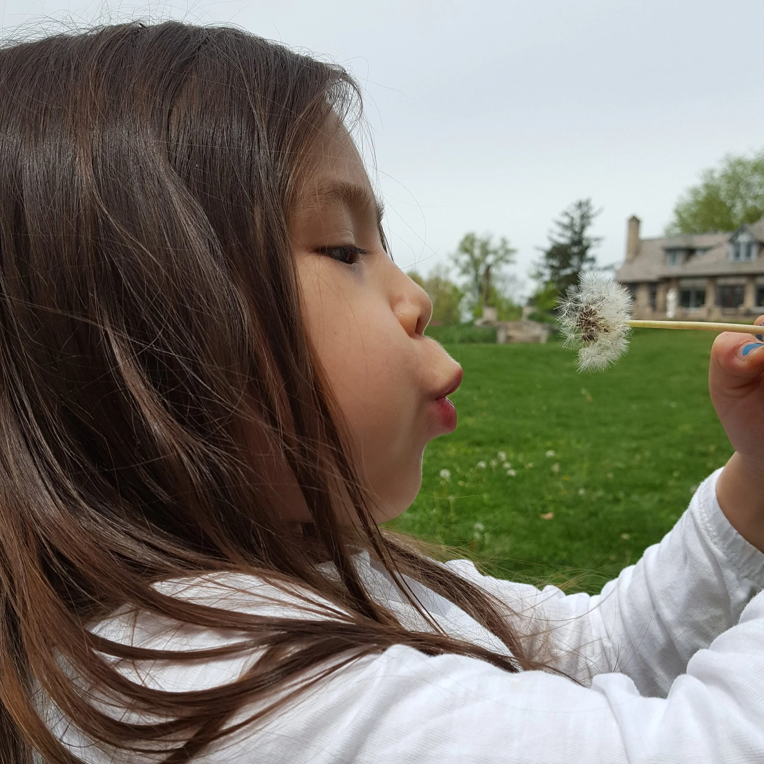 Outside is Open! Ideas for Outdoor Work and Recess During Distance Learning