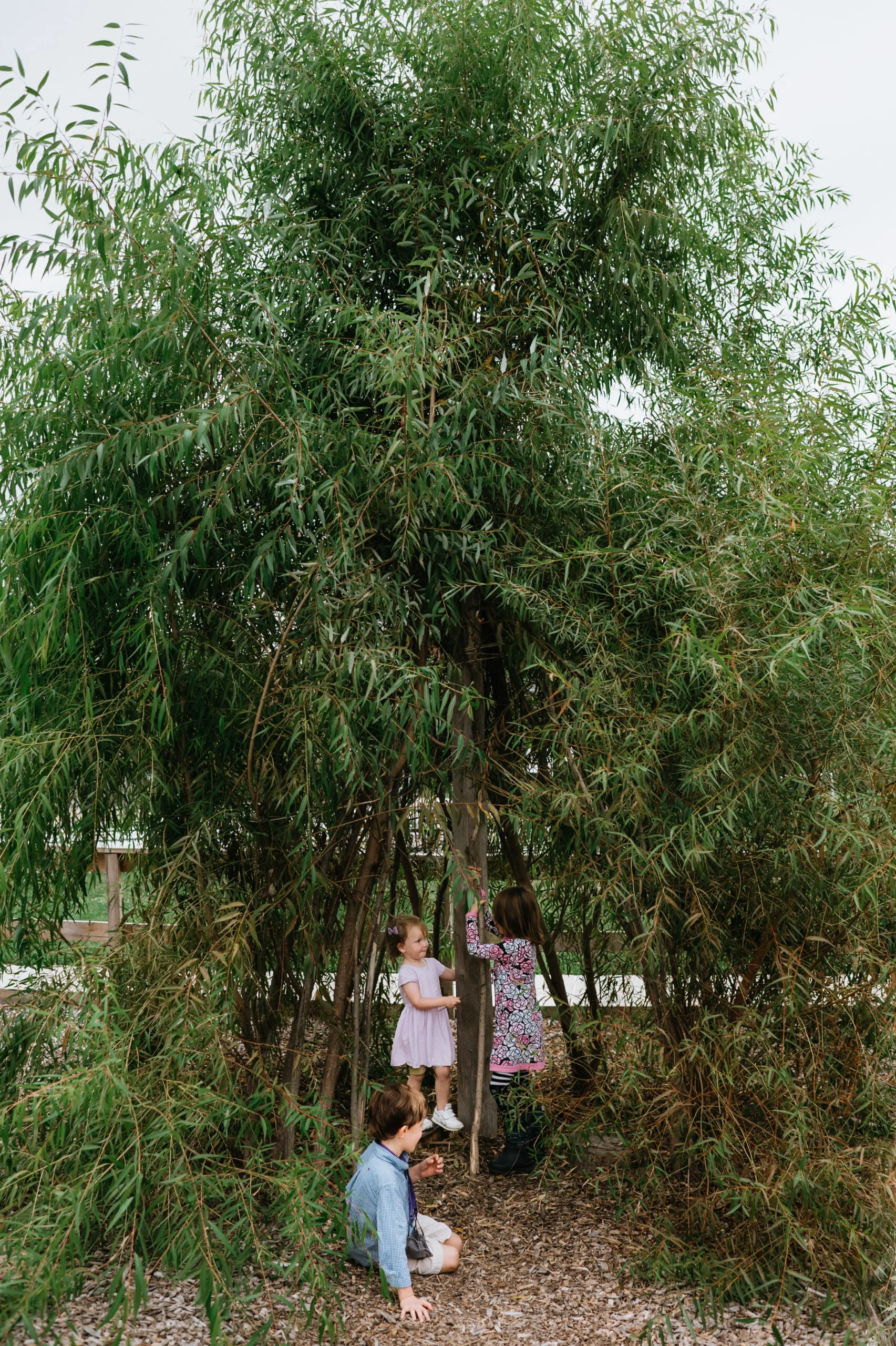 Emotional Well-Being in the Montessori Classroom