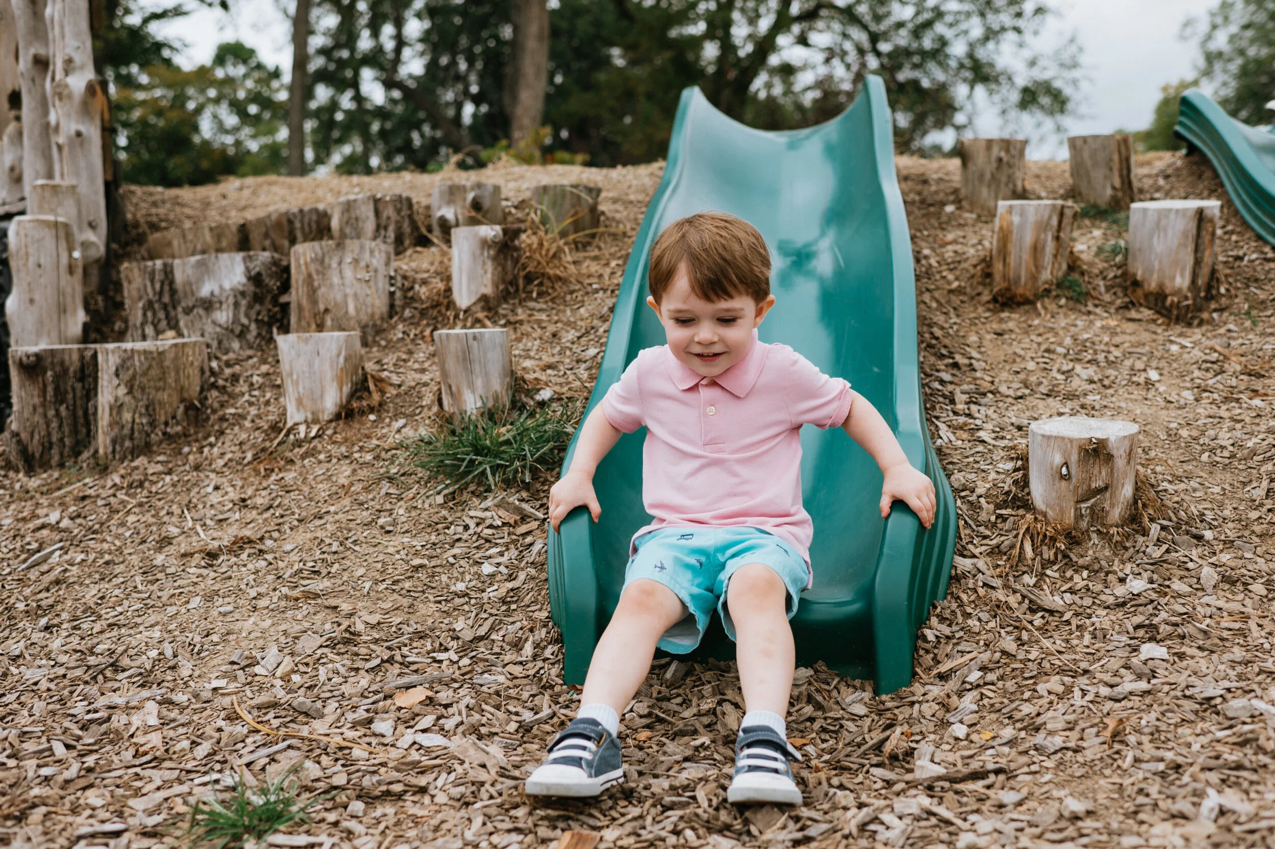 Montessori Theory: The Four Planes of Development