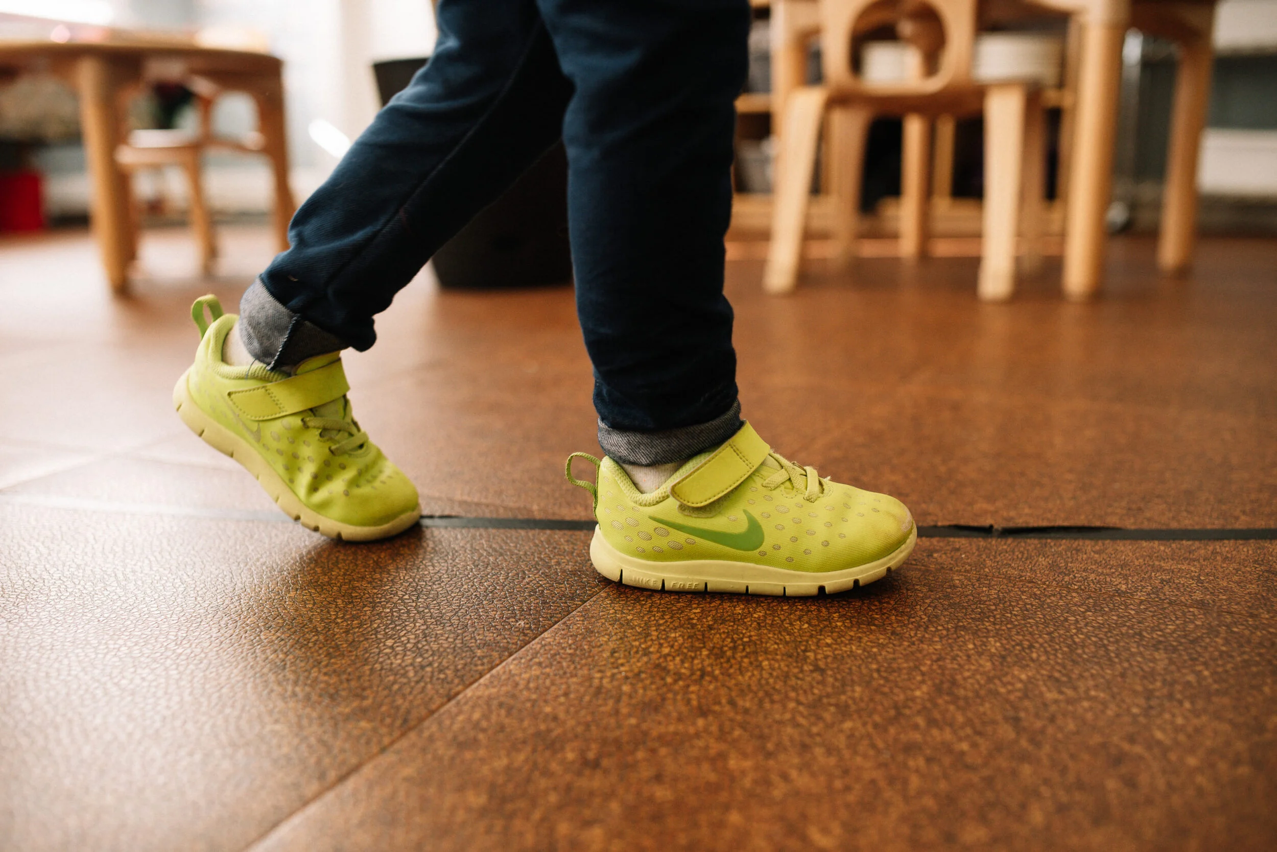 Montessori Theory: The Human Tendencies