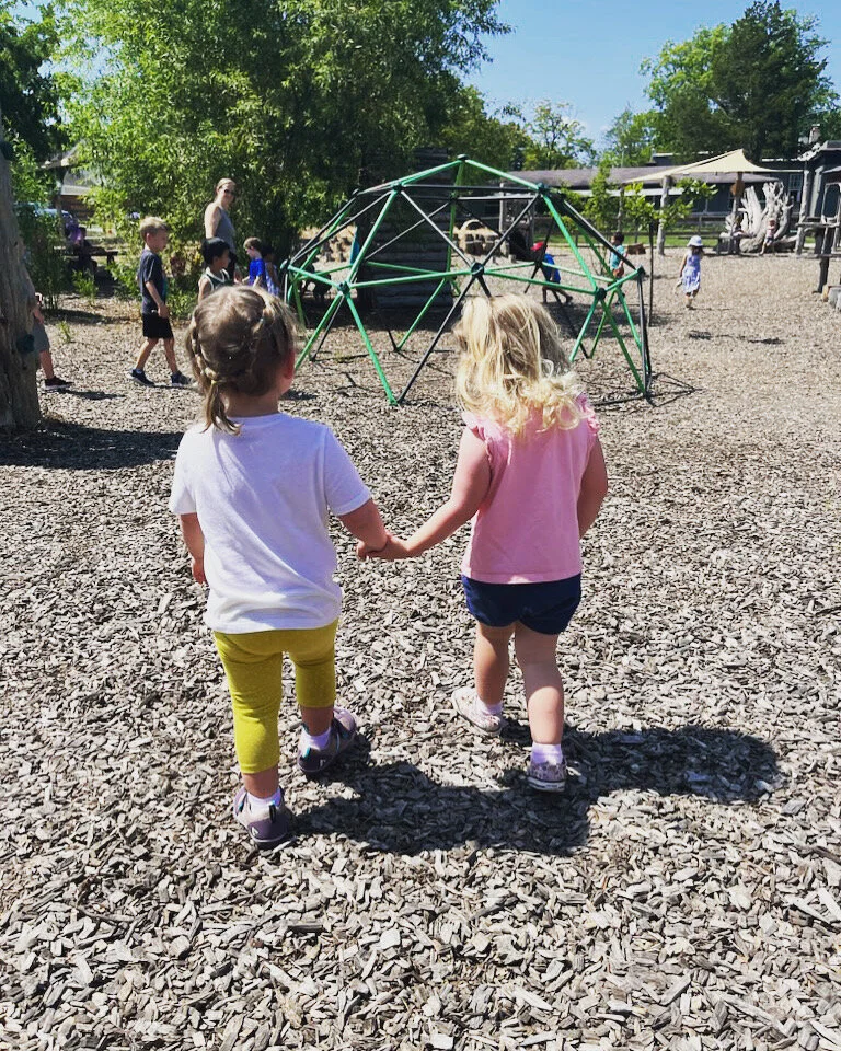 Grace and Courtesy in the First Plane of Development