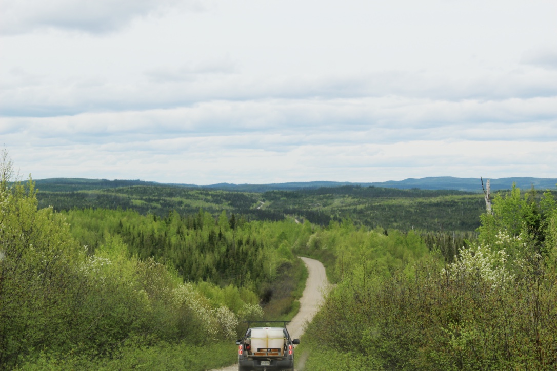 Beginning the 3 hour dirt road journey into the wilderness to our lodge. You can see the road stretch ahead here for miles.