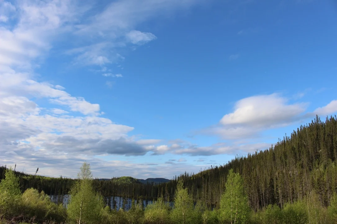 thumb_IMG_3724_1024.jpg