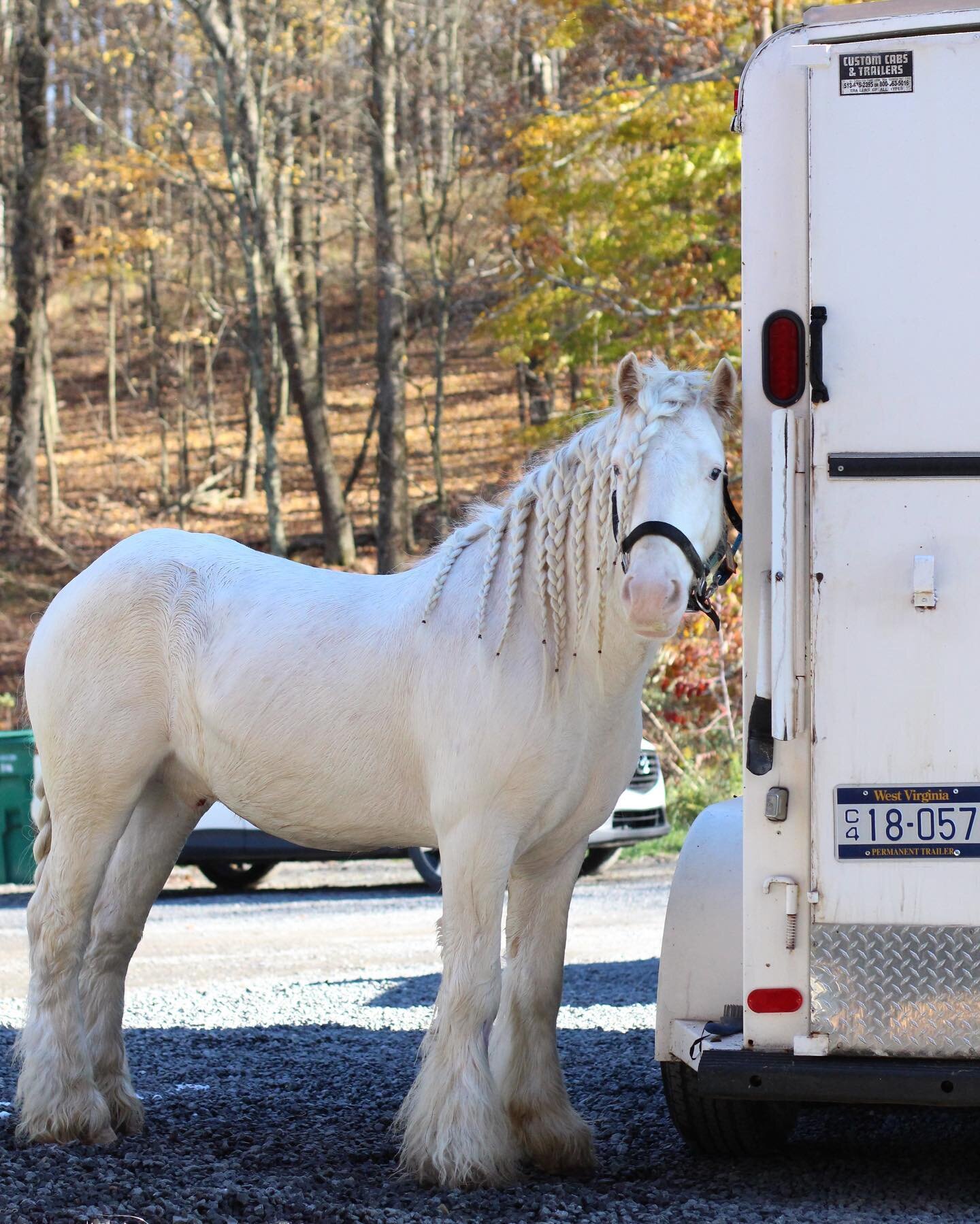 Good morning from the valley... // I am feeling fresh thankfulness for the unexpected gifts the Lord has sent us in these horses this fall. It has been a miracle and dream how they came to us and we&rsquo;re so excited for the new rituals it will bri