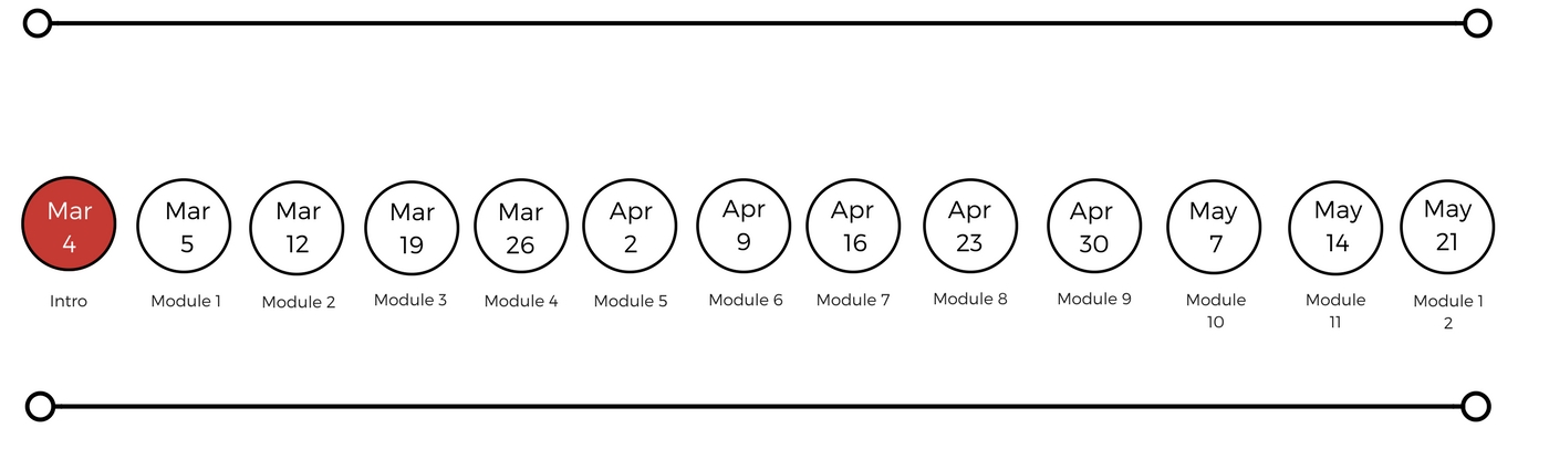 Member Website Timeline Intro.jpg