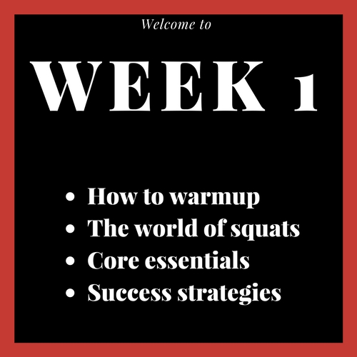 Module 1 Week 1 Graphic.jpg