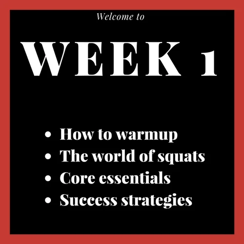 Module 1 Week 1 Graphic.jpg