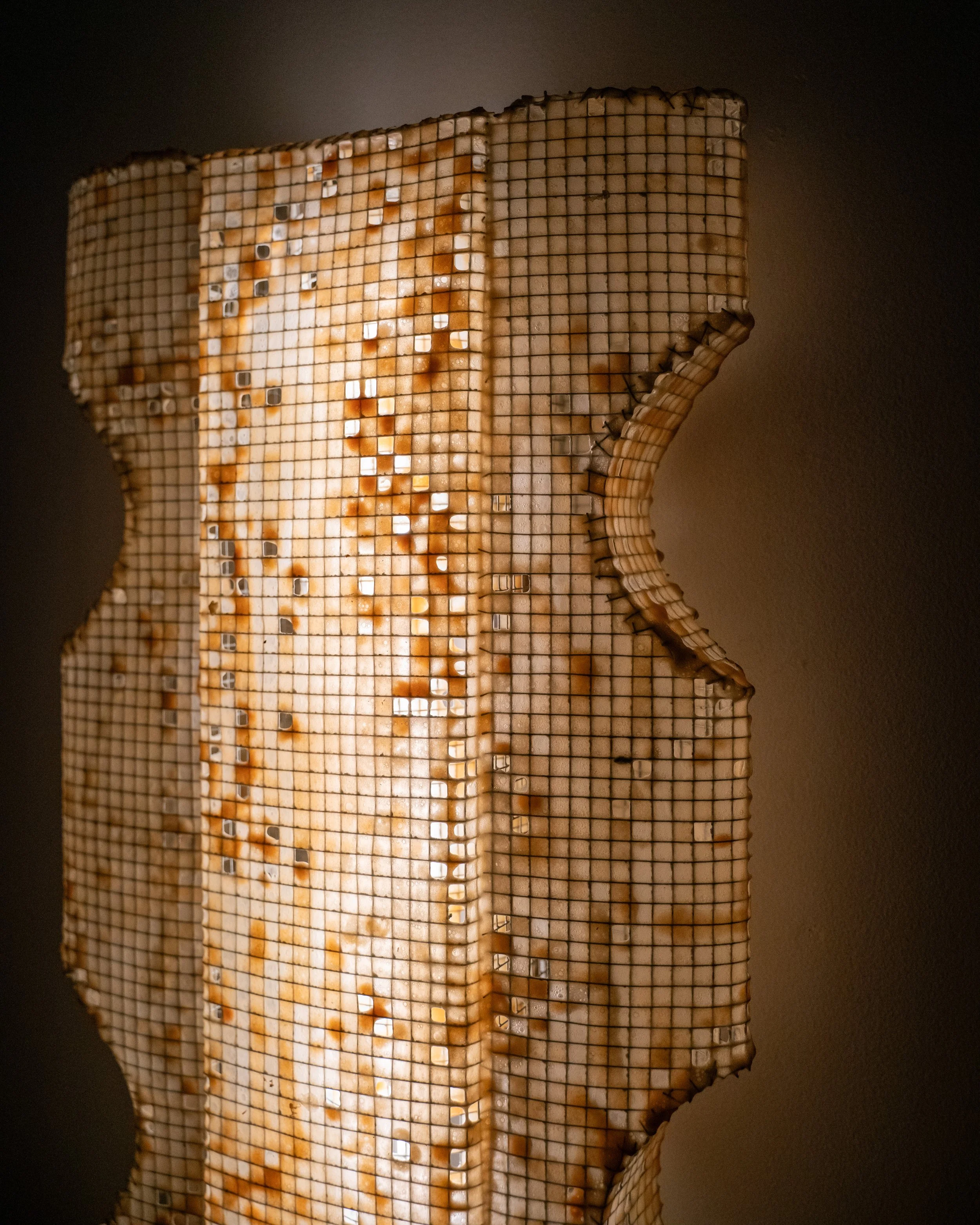 Latticework.Theca_2.jpg