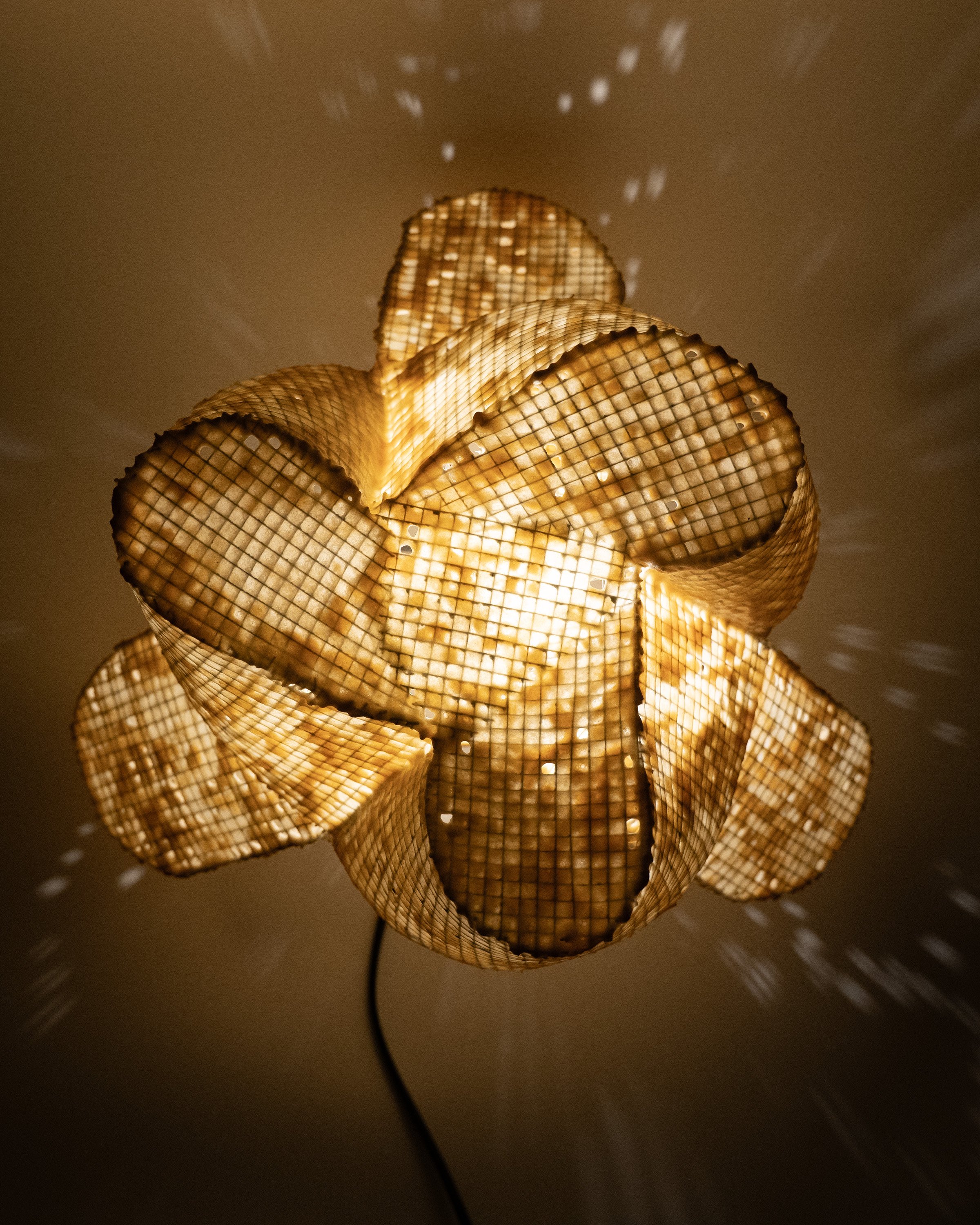Latticework.Calyx_4.jpg