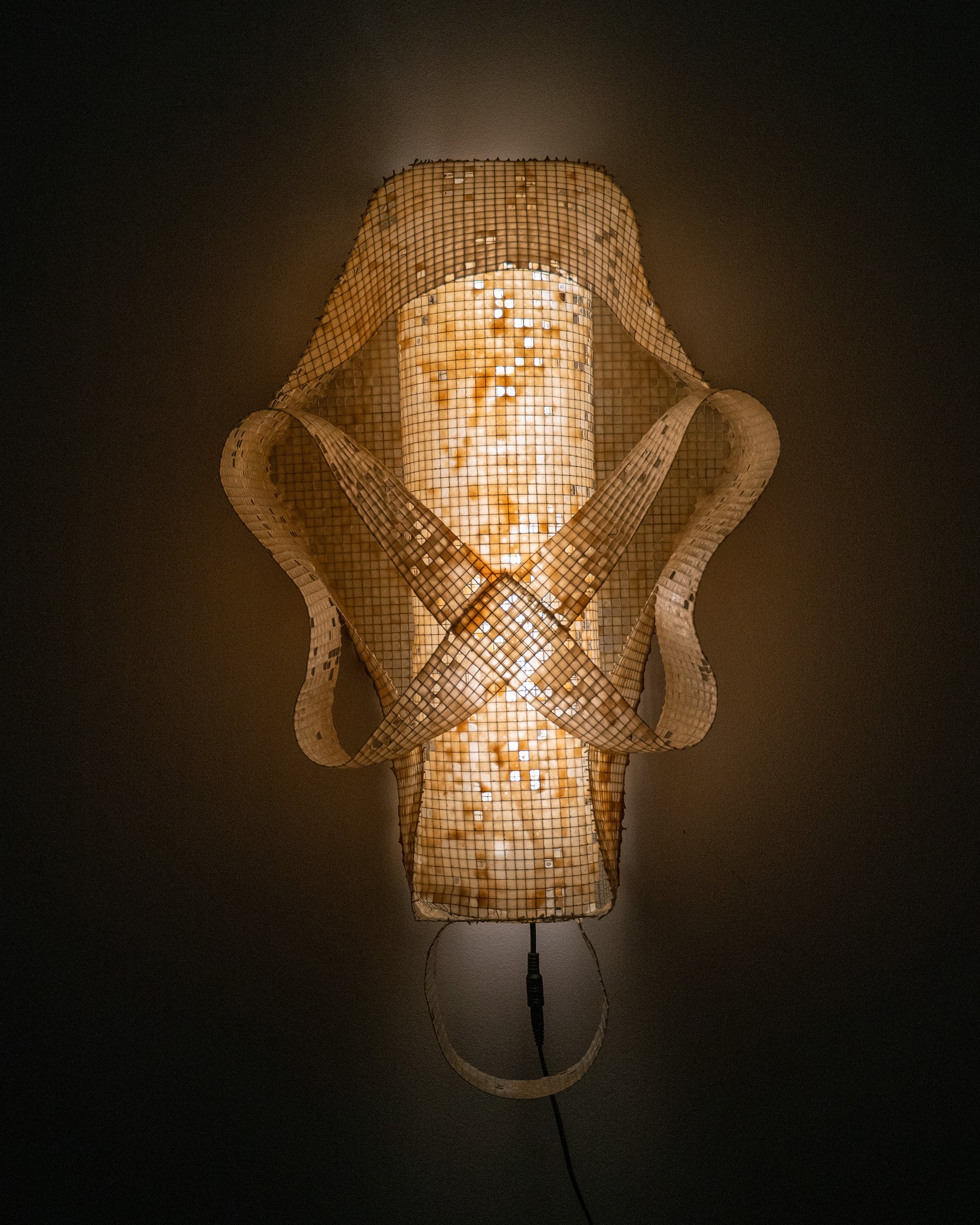 Latticework.Nuchal_1.jpg