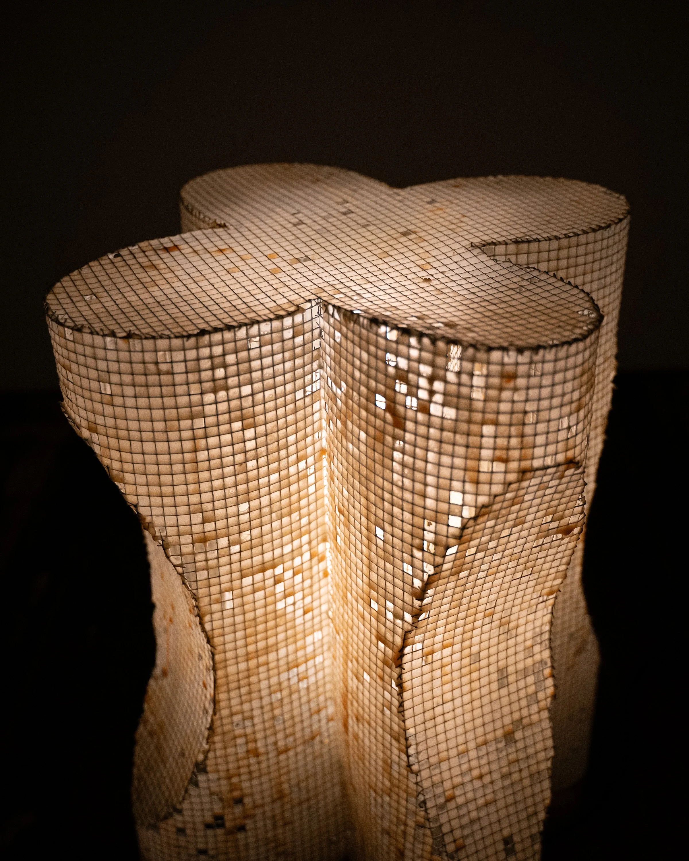 Latticework.Entasis_2.jpg
