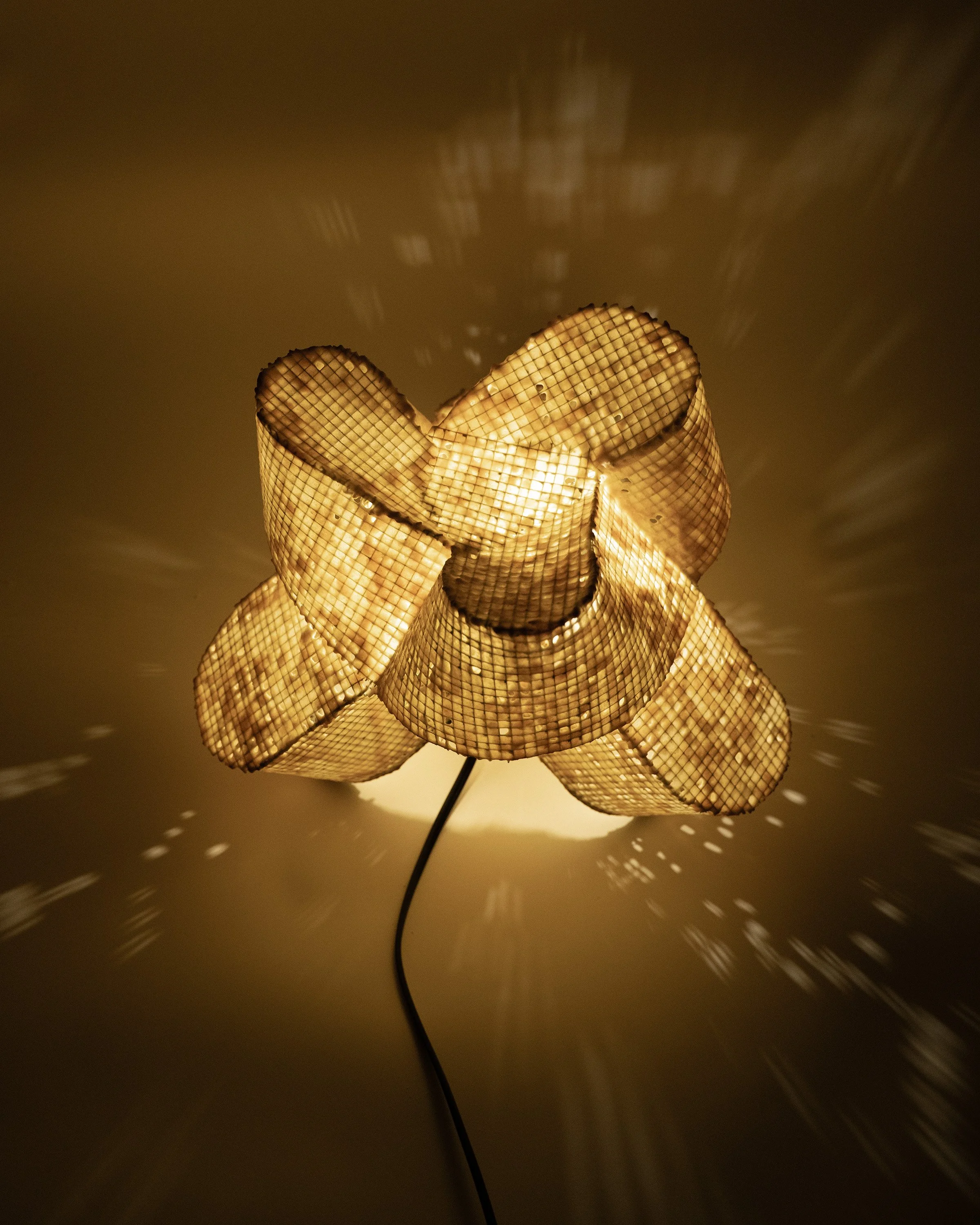 Latticework.Calyx_3.jpg