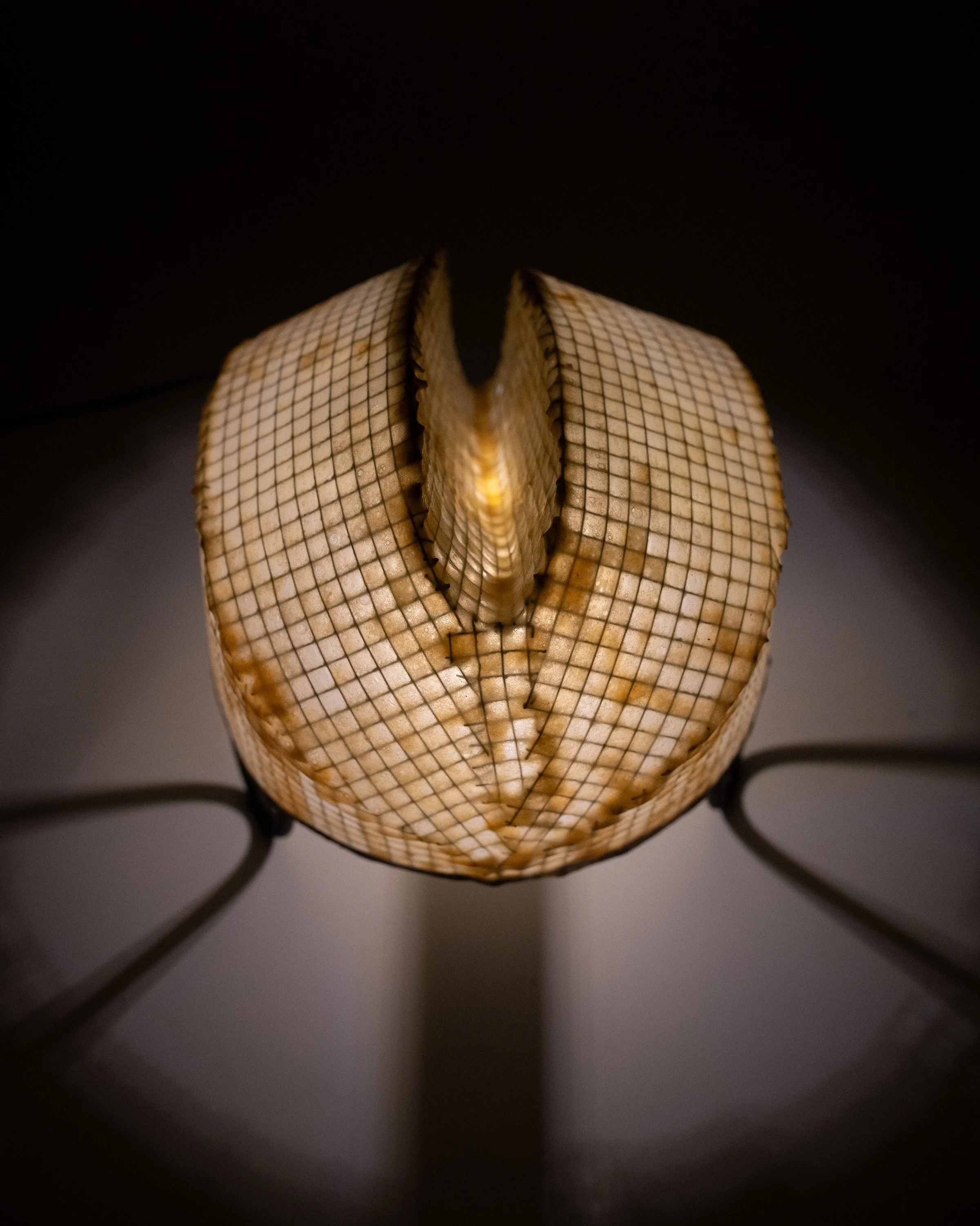 Latticework.Cleave_1.jpg