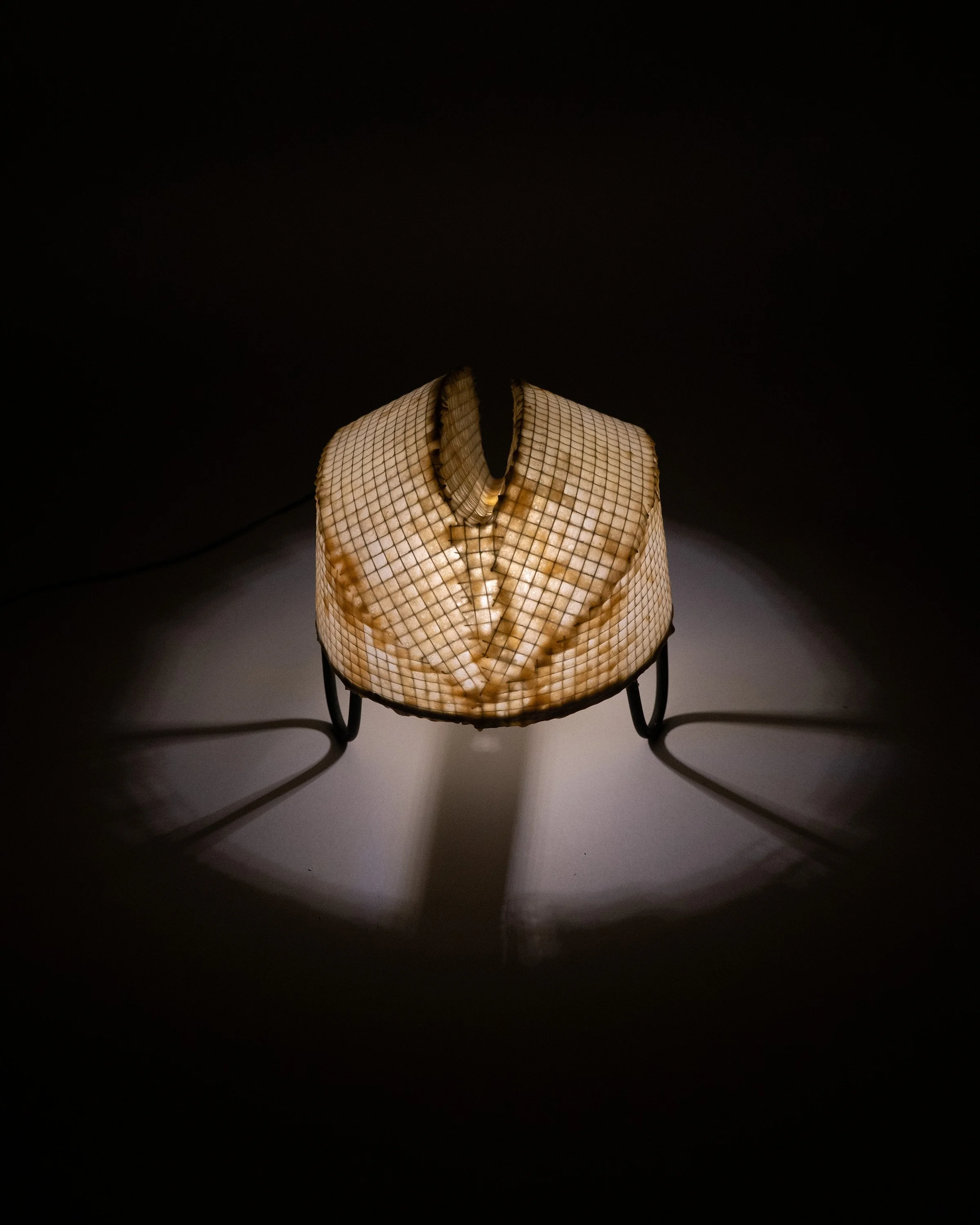 Latticework.Cleave_2.jpg