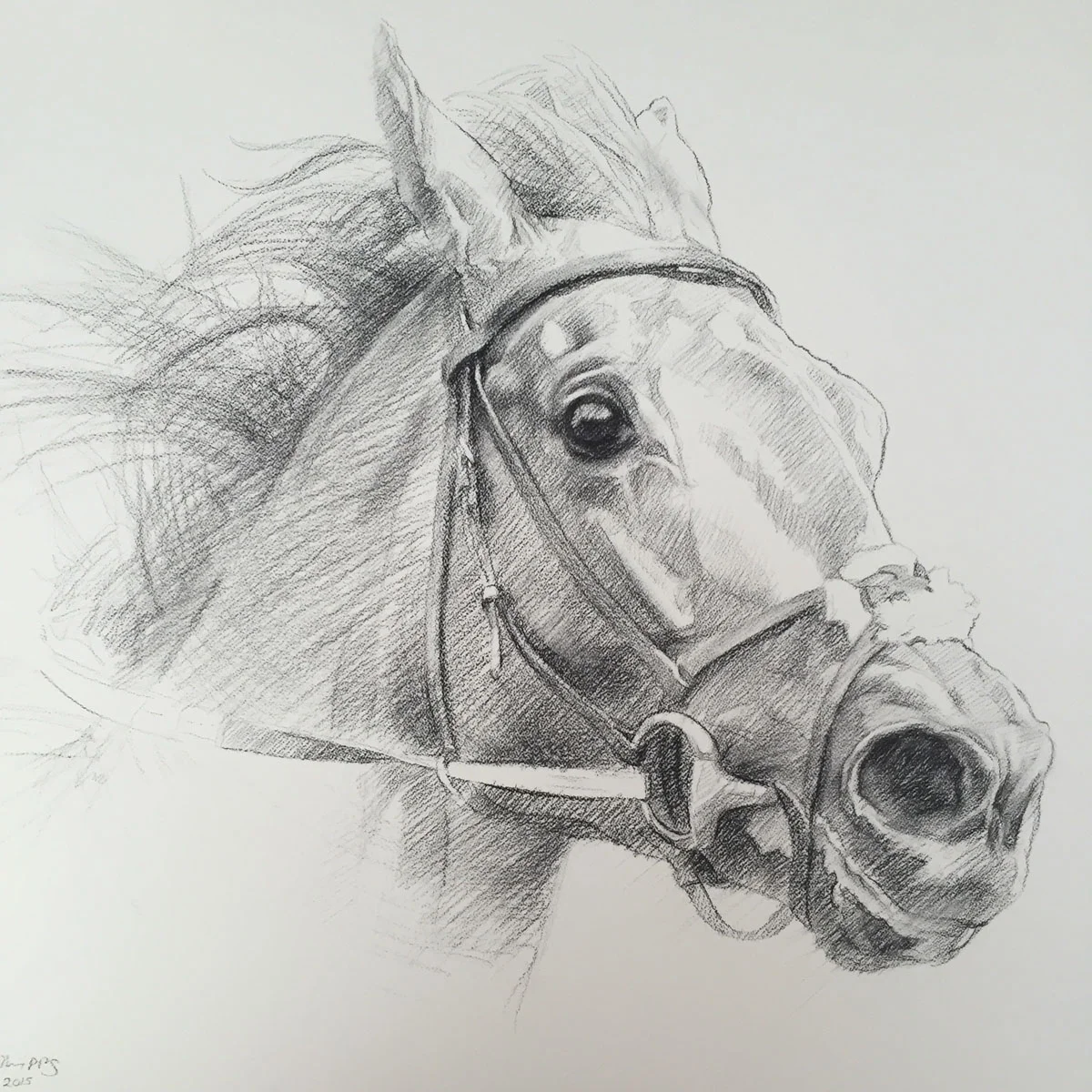 Eagle Top, Charcoal 2015