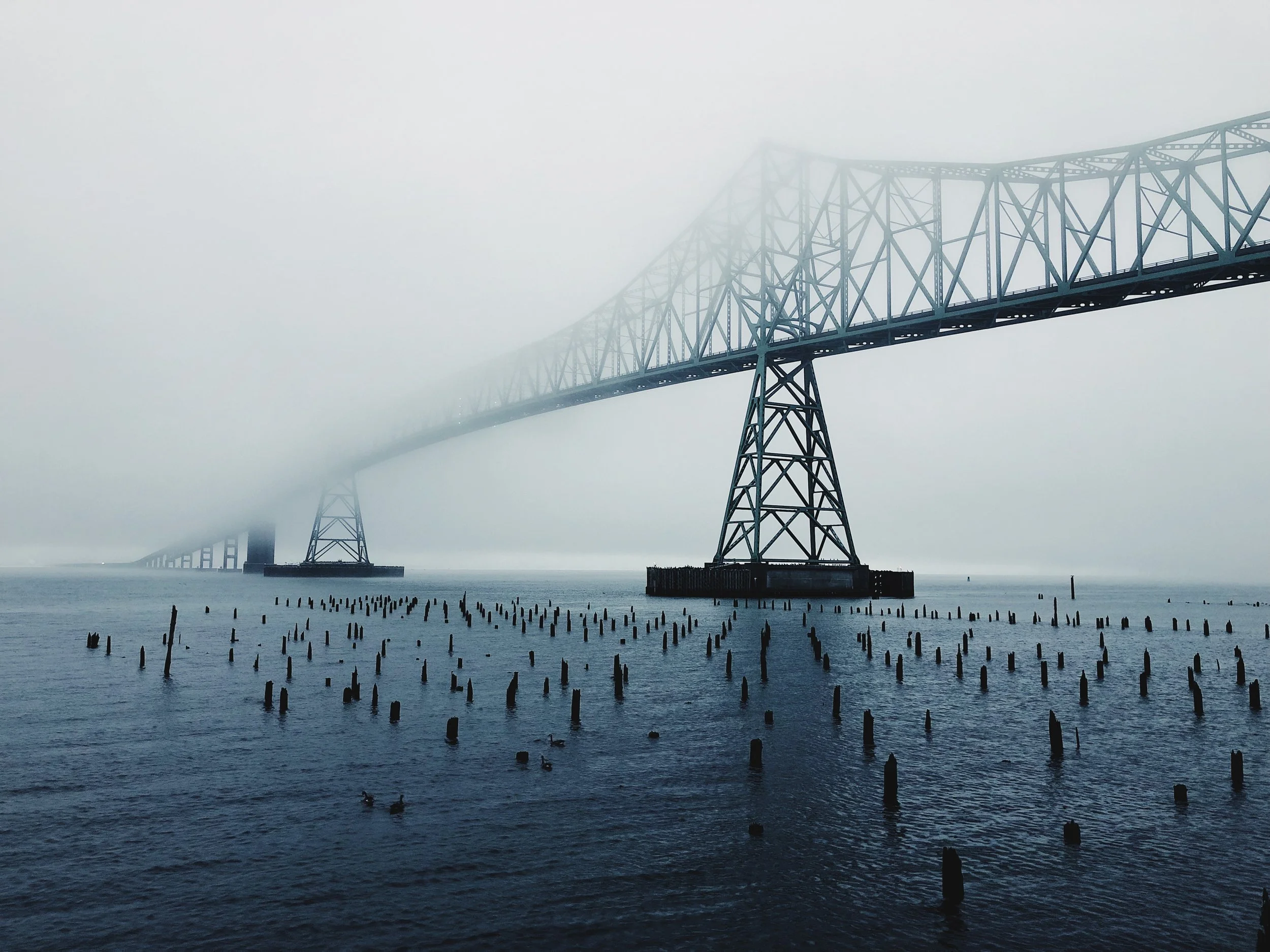 6EE3B0CE-49E8-4889-ACFE-6992C81C1F79.JPG