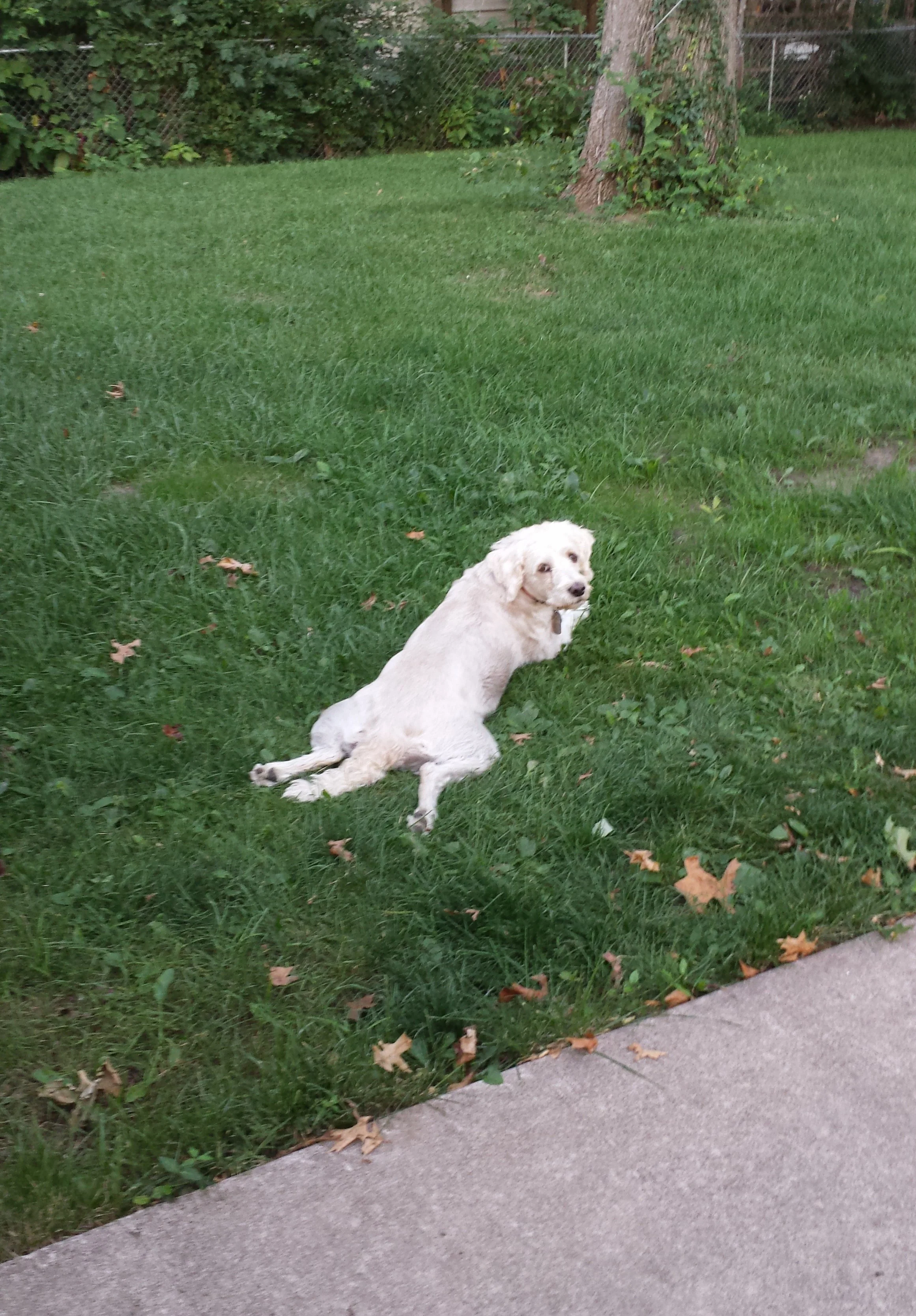 stretch.jpg