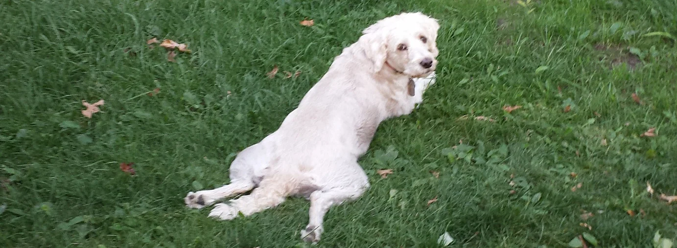 Good morning happy readers!