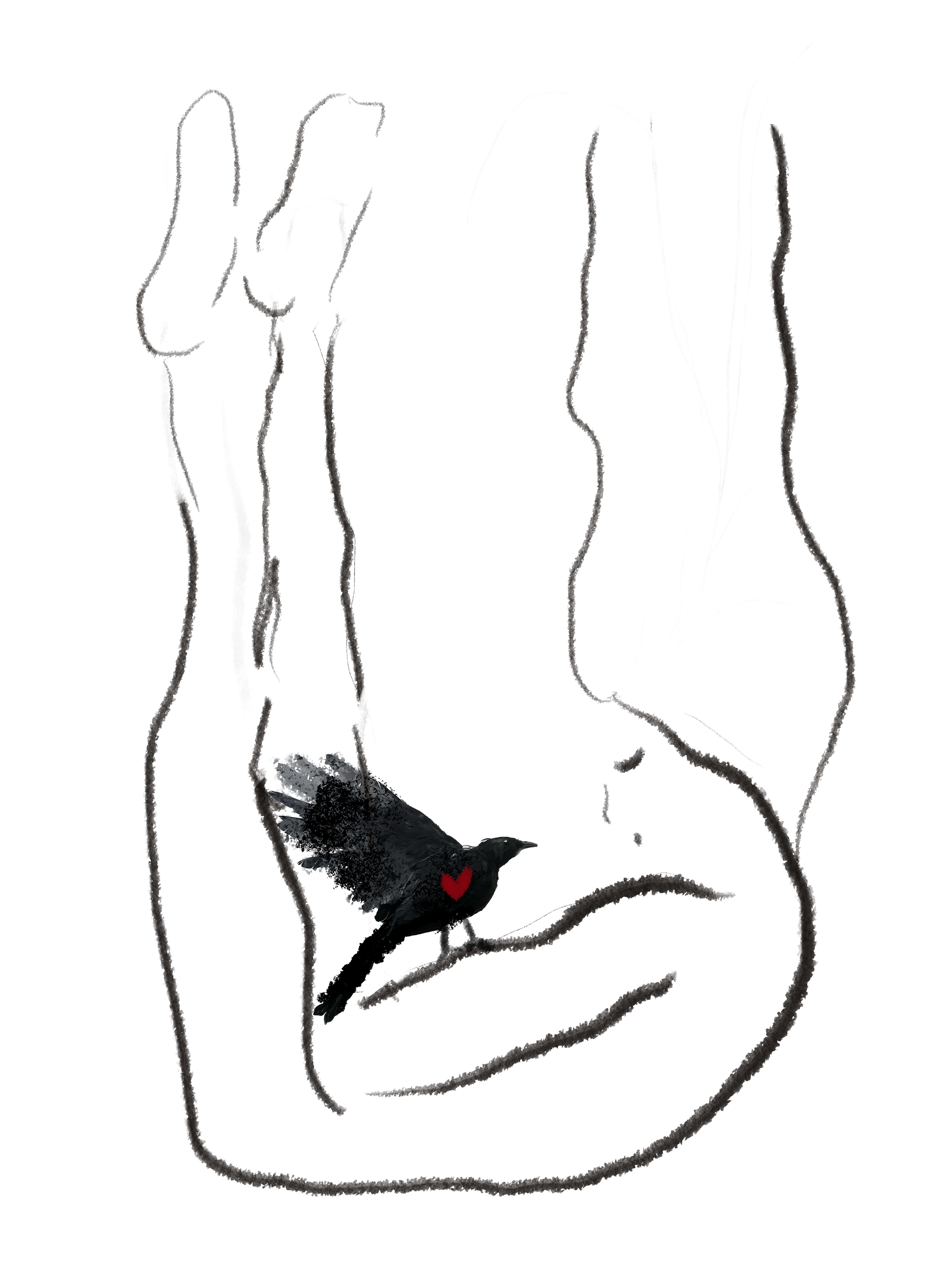 IMG_0870.PNG