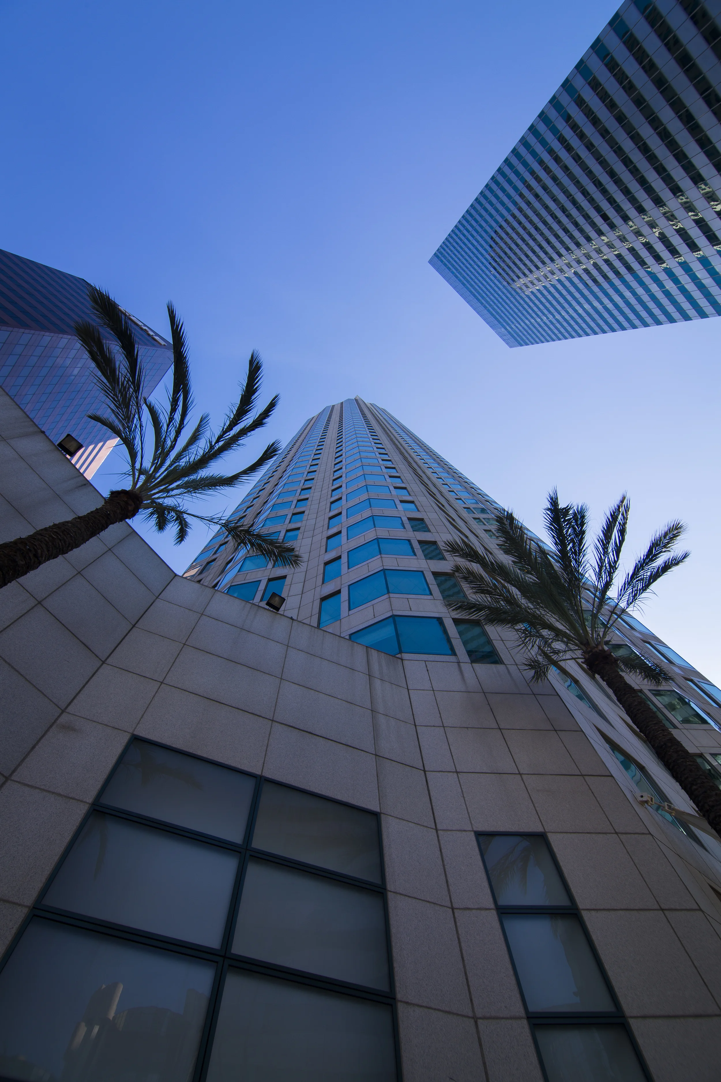 LA Skyline-6.jpg