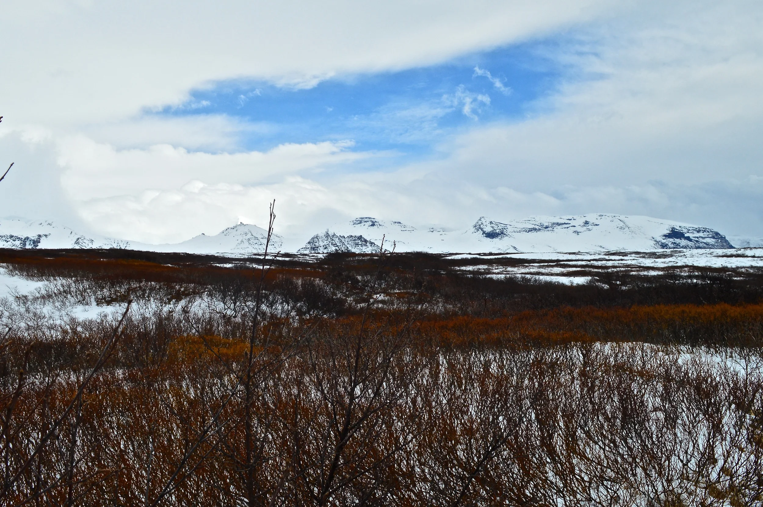 DSC_0098.jpg