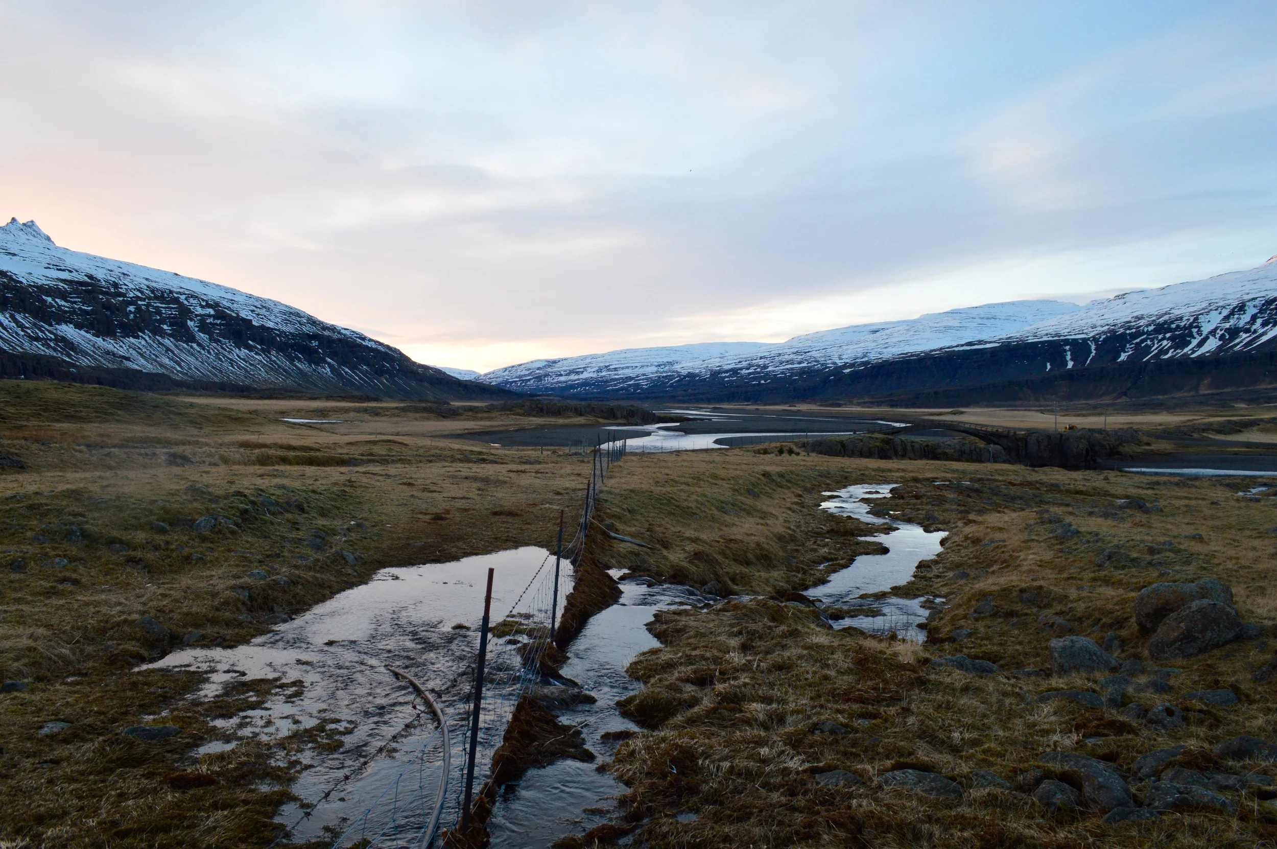 DSC_0437.jpg