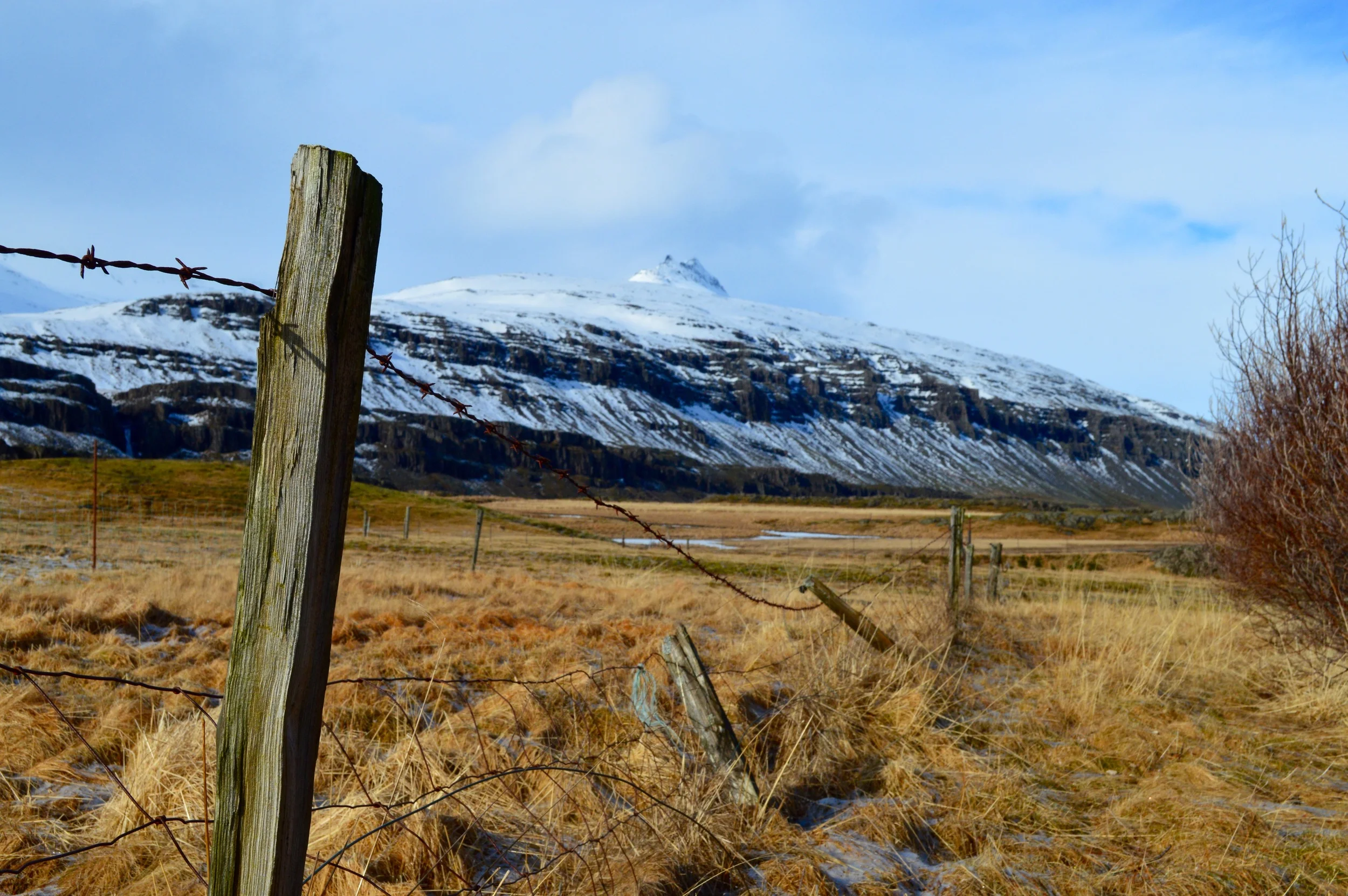 DSC_0470.jpg