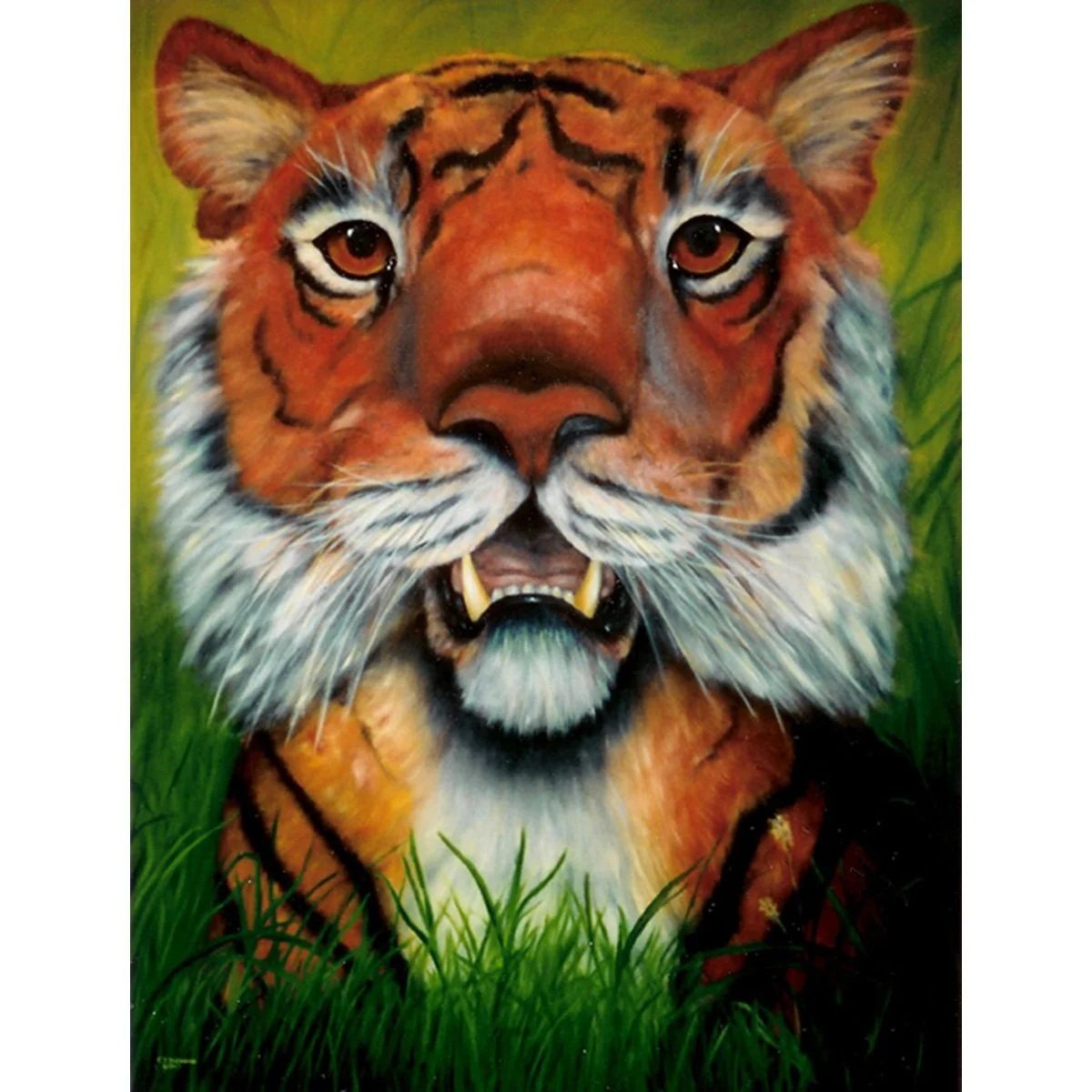 Spellof+theTiger1200Sq.jpg