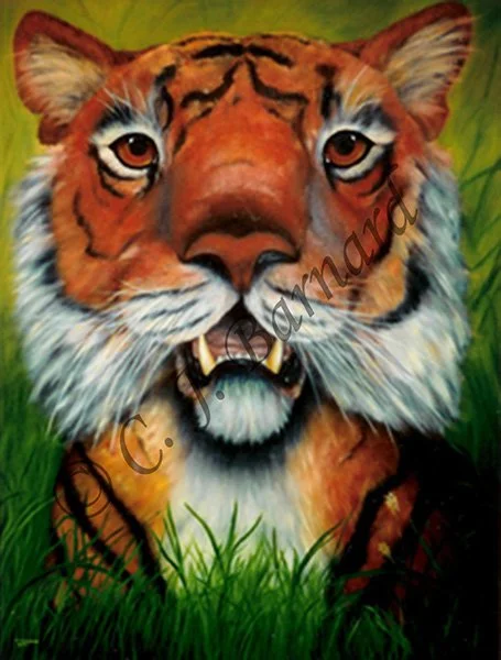 SpelloftheTiger96WM600.jpg