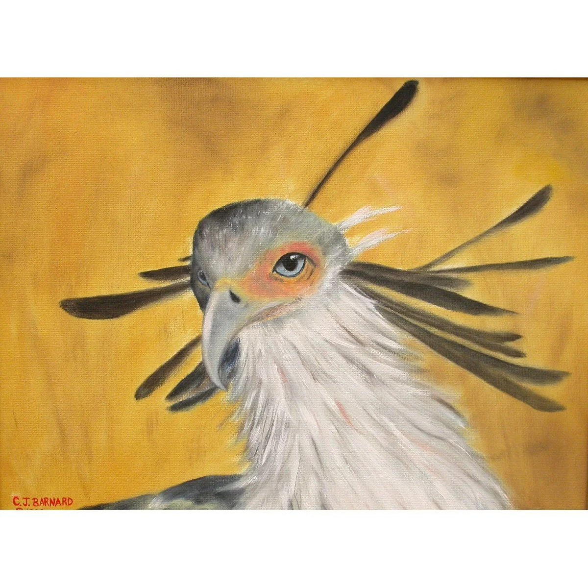CrownedCrane1200Sq.jpg