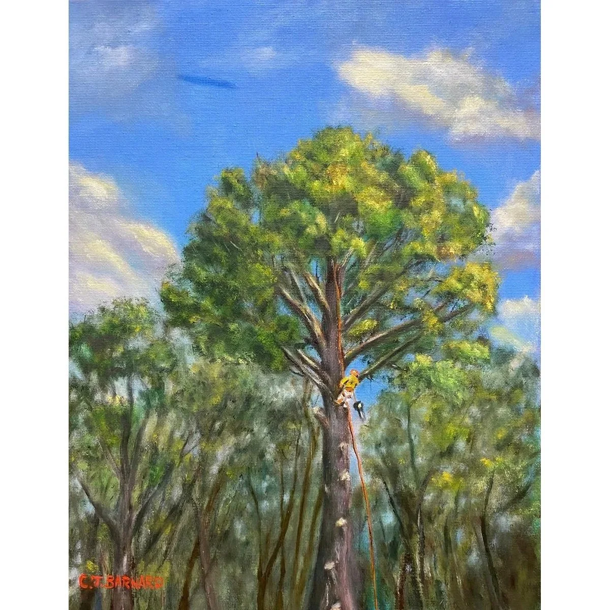TheTreeManAndTheUFO1200Sq.jpg