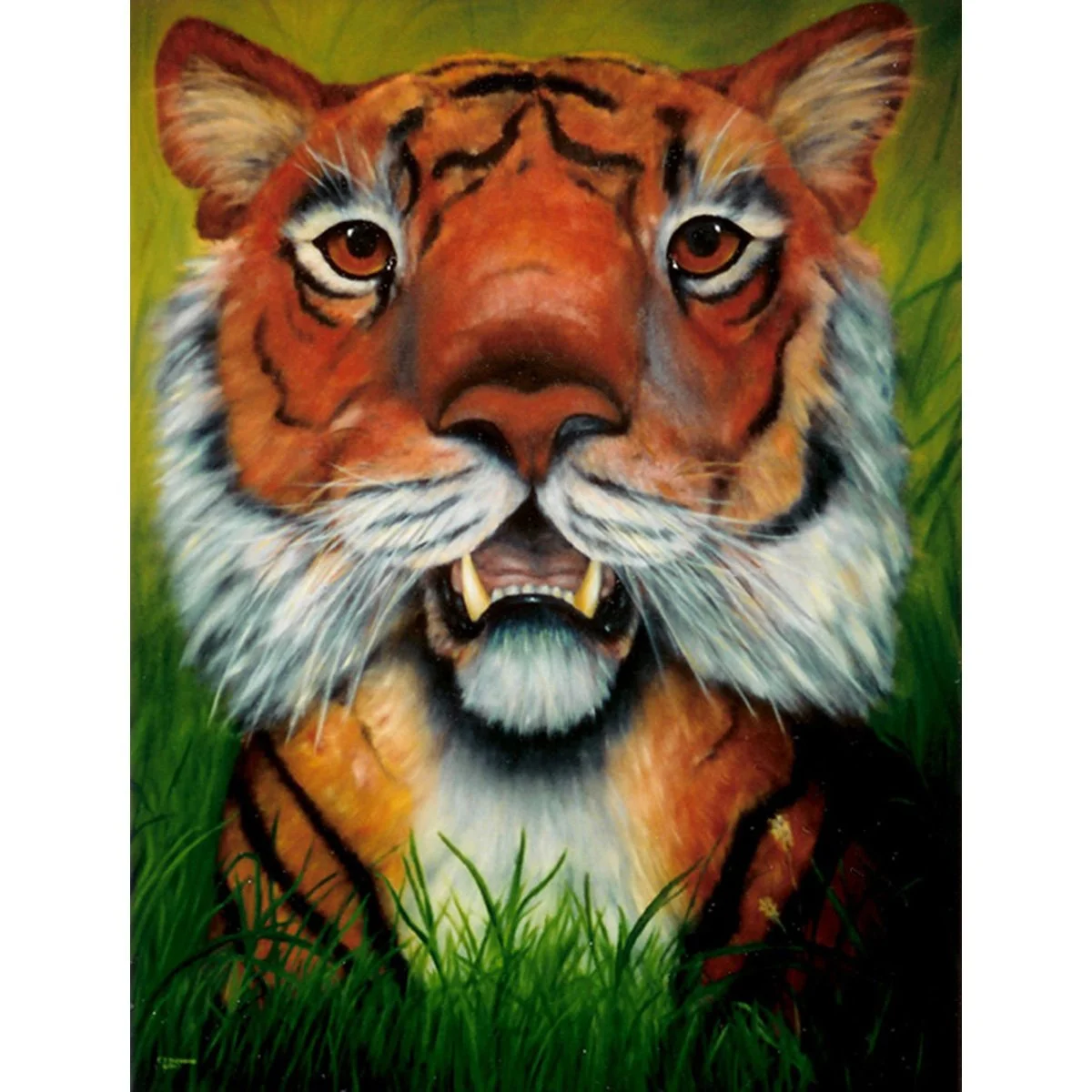 SPELL OF THE TIGER