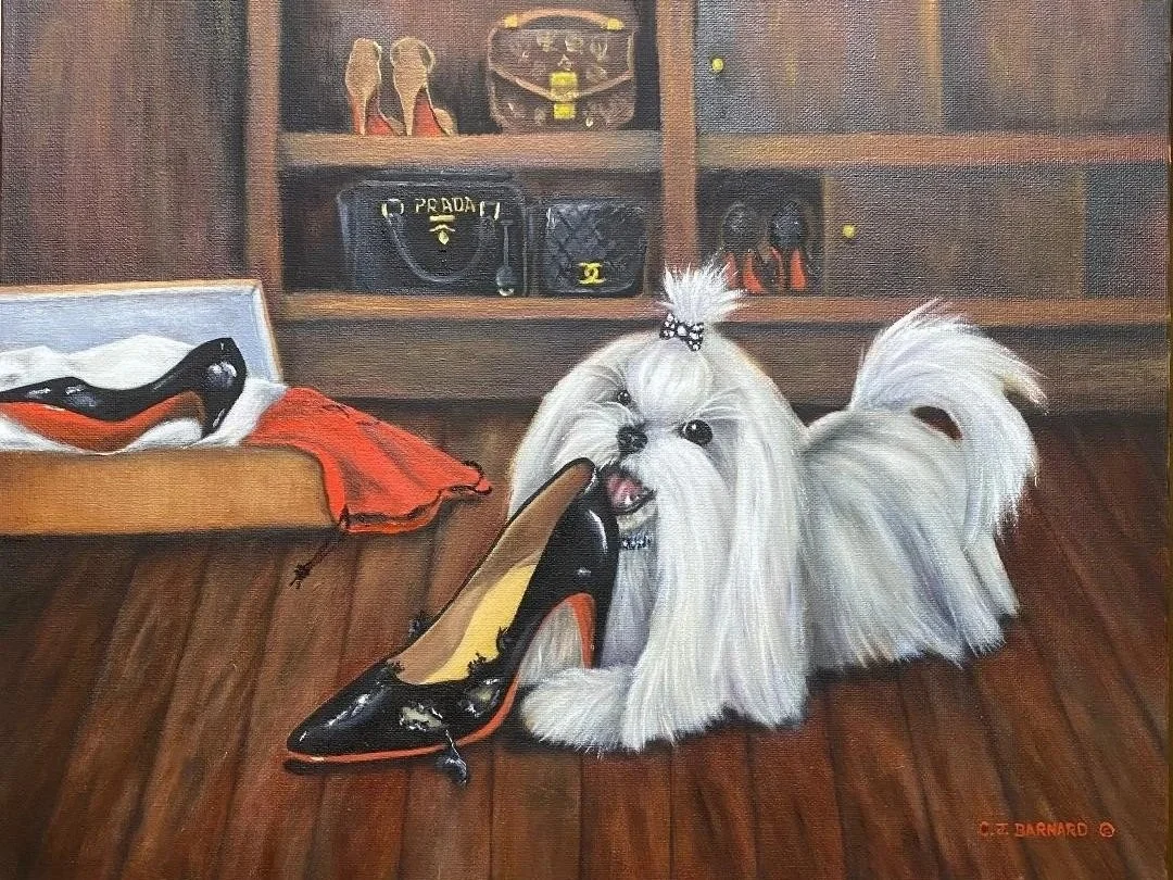 "Maltese Madness/Louboutin Lament"