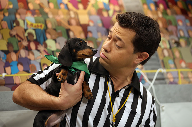 How I Adopted a Dog From Puppy Bowl (Seriously)