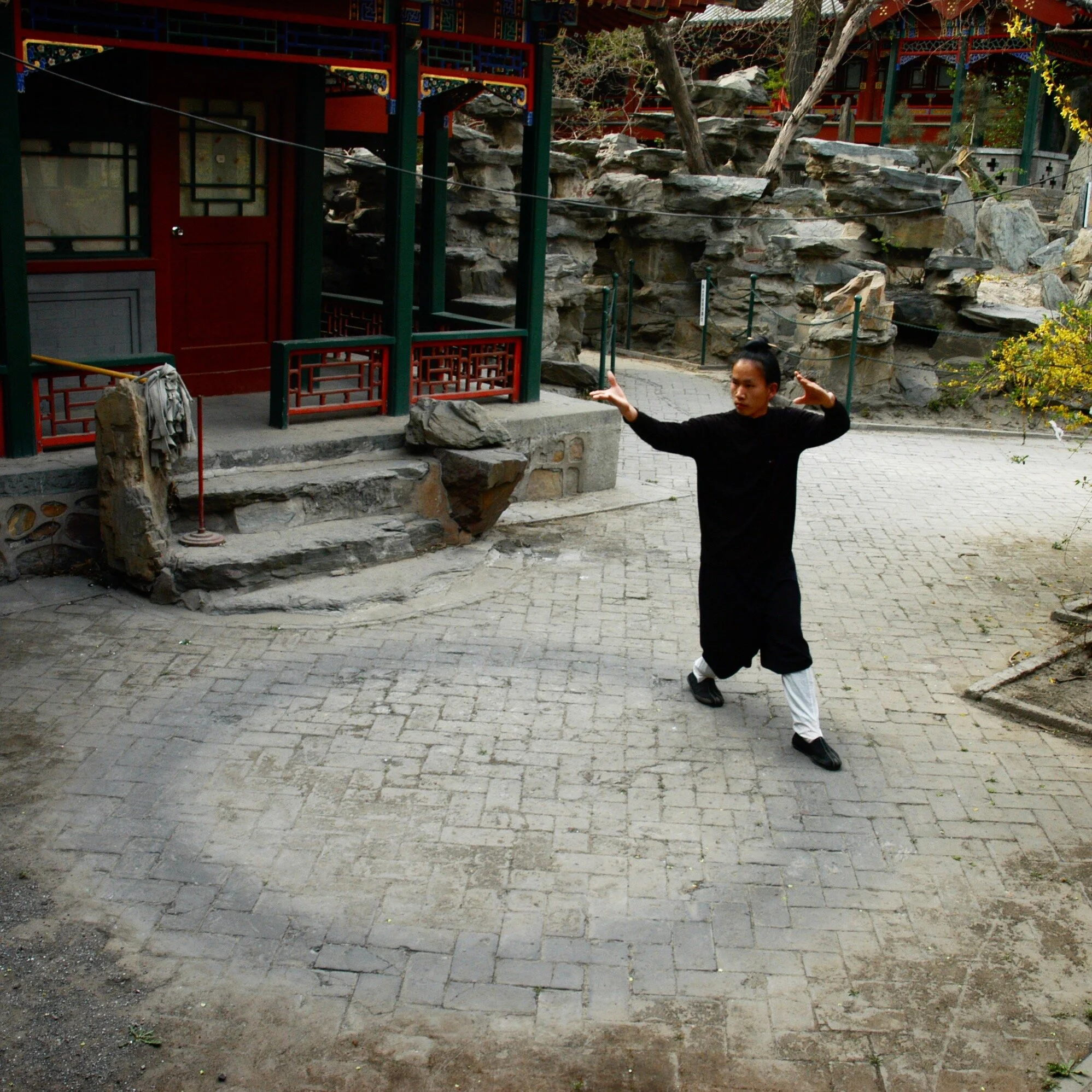 Pursuit of the Present