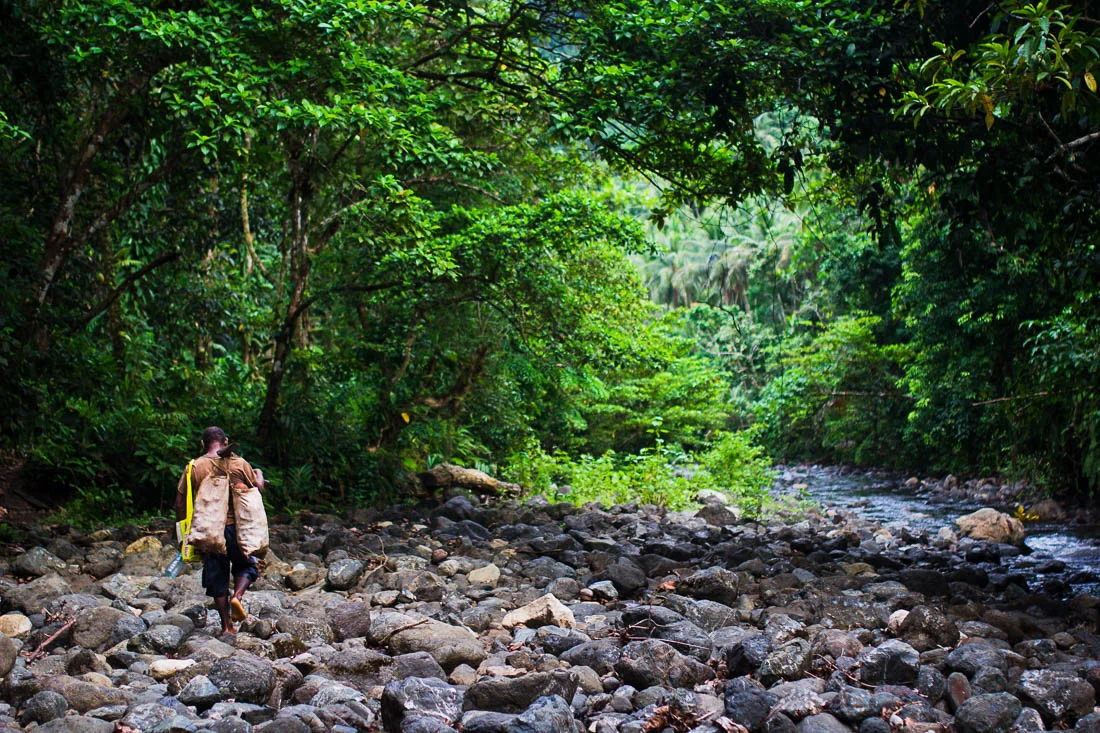 solomon-island-villager-gardening.jpg