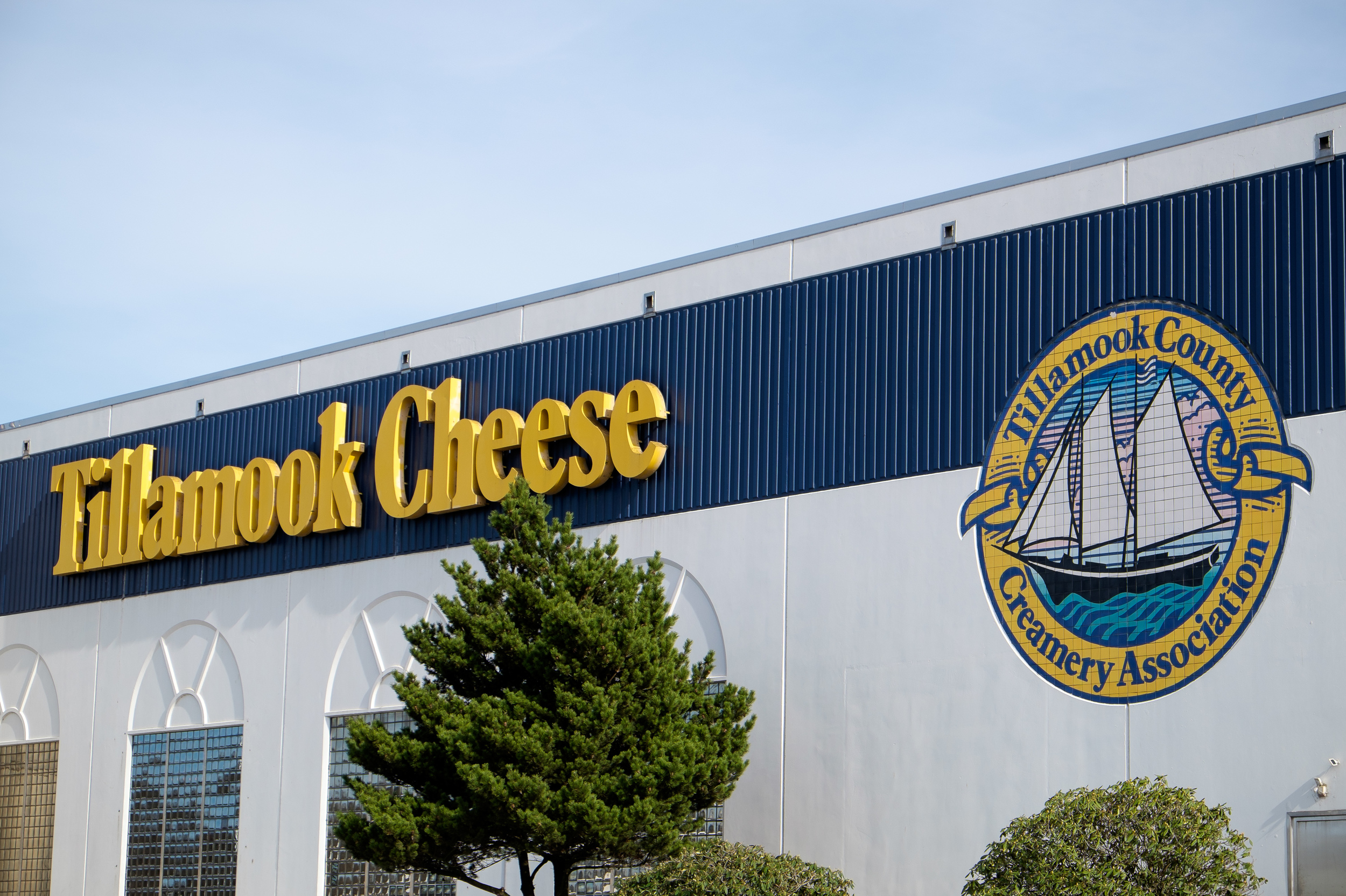 Took a tour of the Tillamook factory. I've never seen so much cheese in my life.