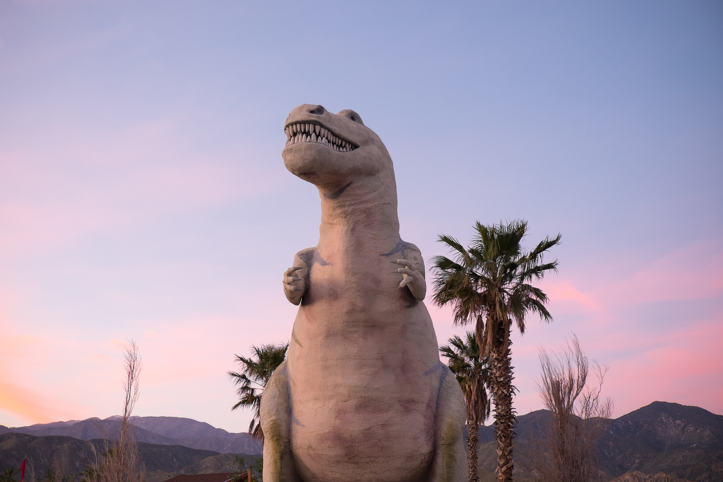 And one stop on the way home to see the Cabazon Dinosaurs. This guy's name is Mr. Rex, and he weighs 100 tons.
