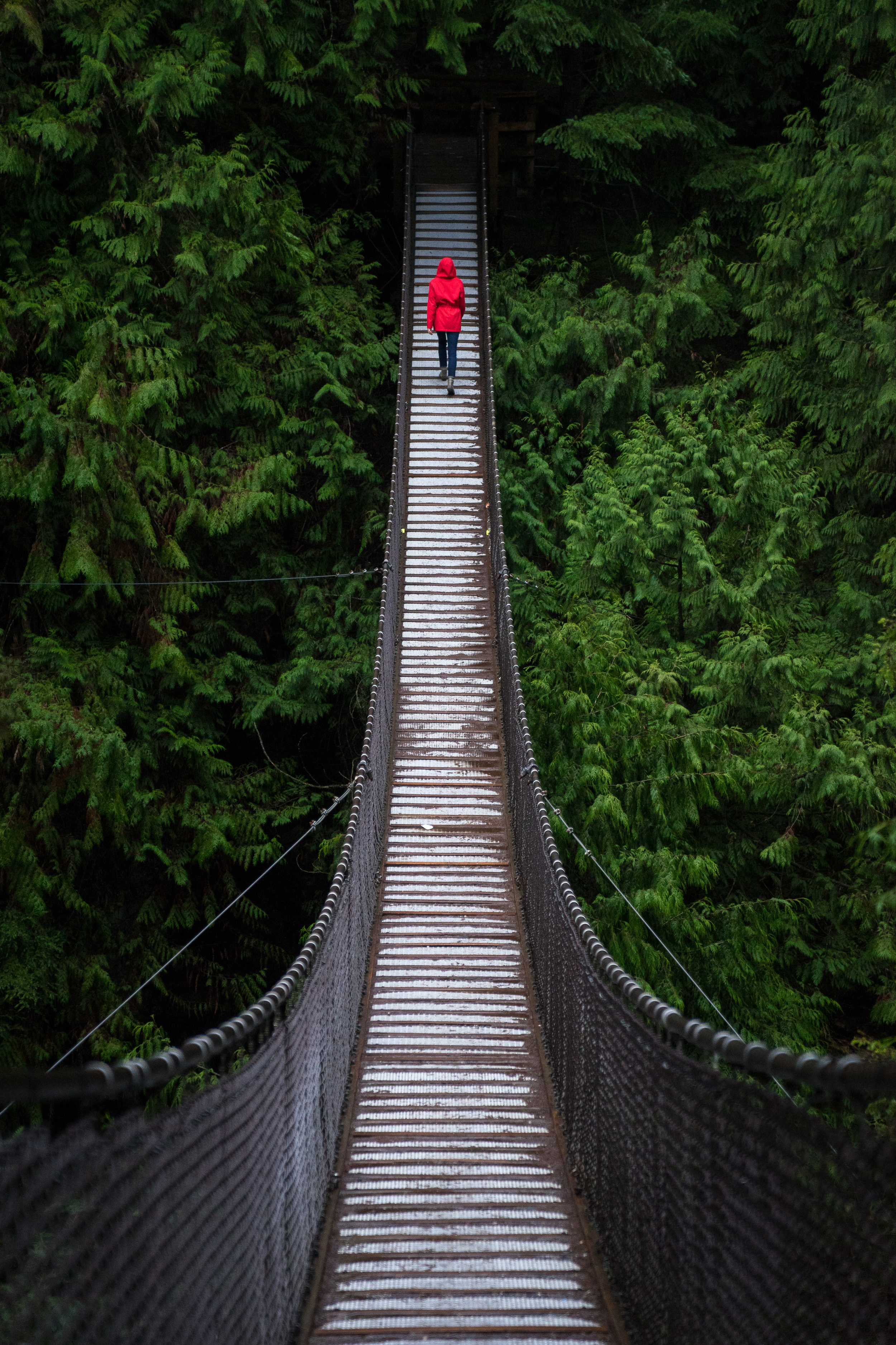 Ah, we're there. That was fast. Here's the infamous suspension bridge.