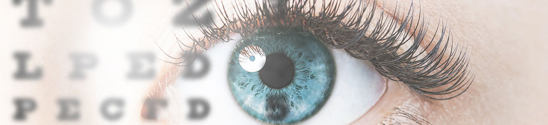 banner1.png