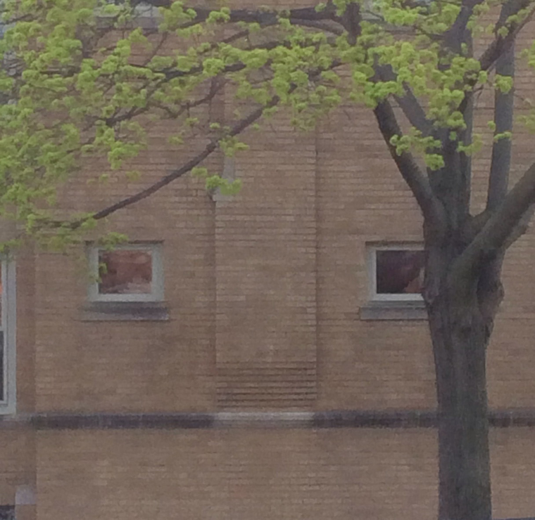 wall-face.png