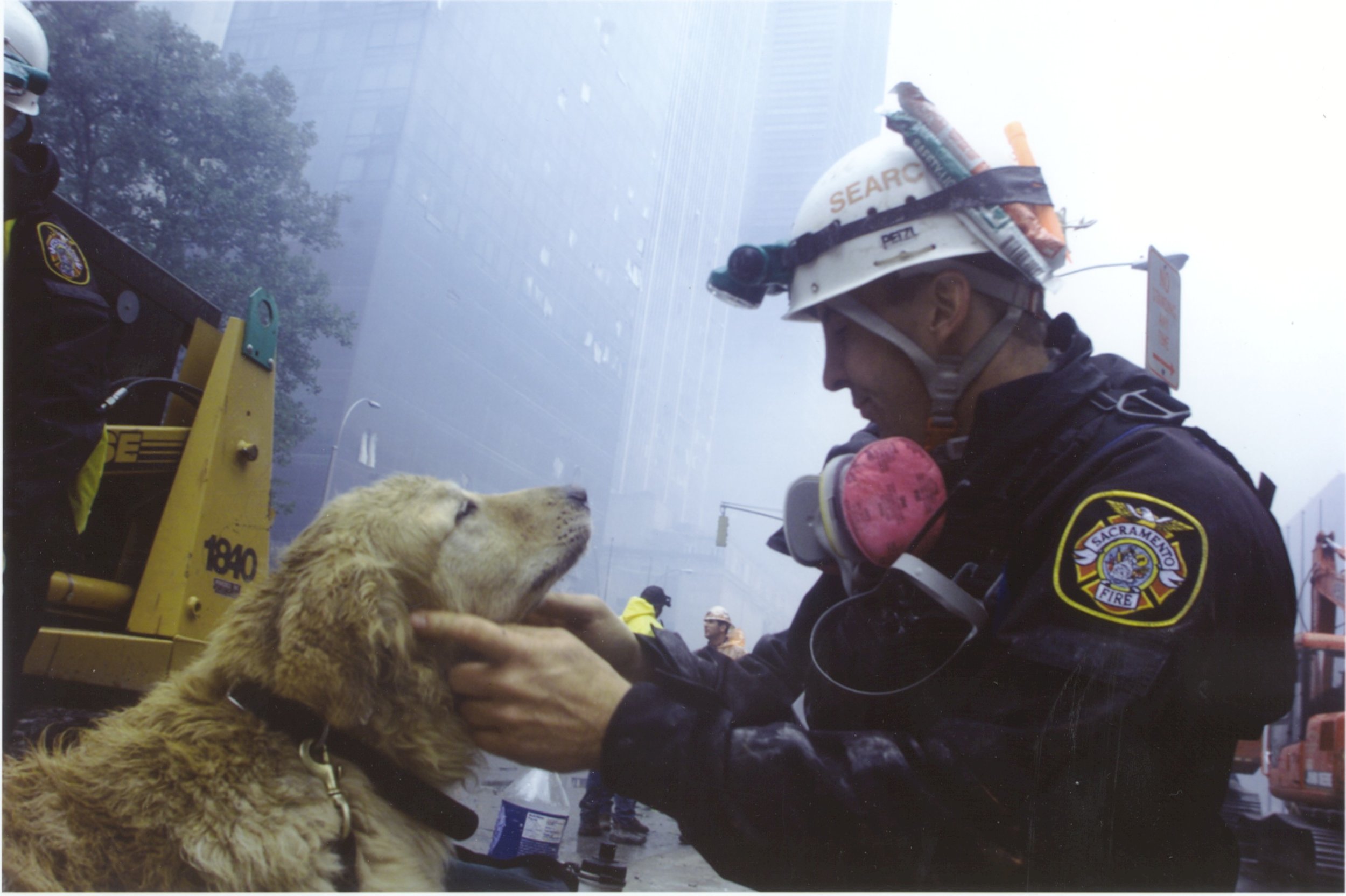 The Rescued Dogs that Rescue People