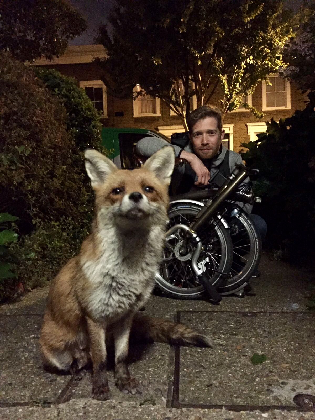 Zeb and Gaspard the Fox