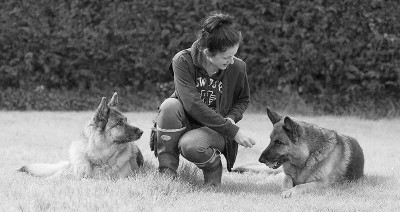Gail-from-Cambridge-Puppy-Training-with-dogs.jpg